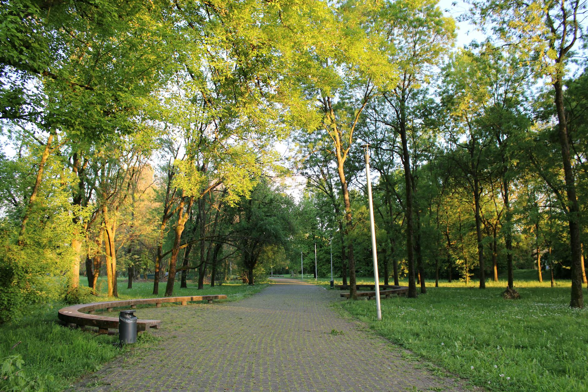 Sunlit green path in Lombardy near Milan