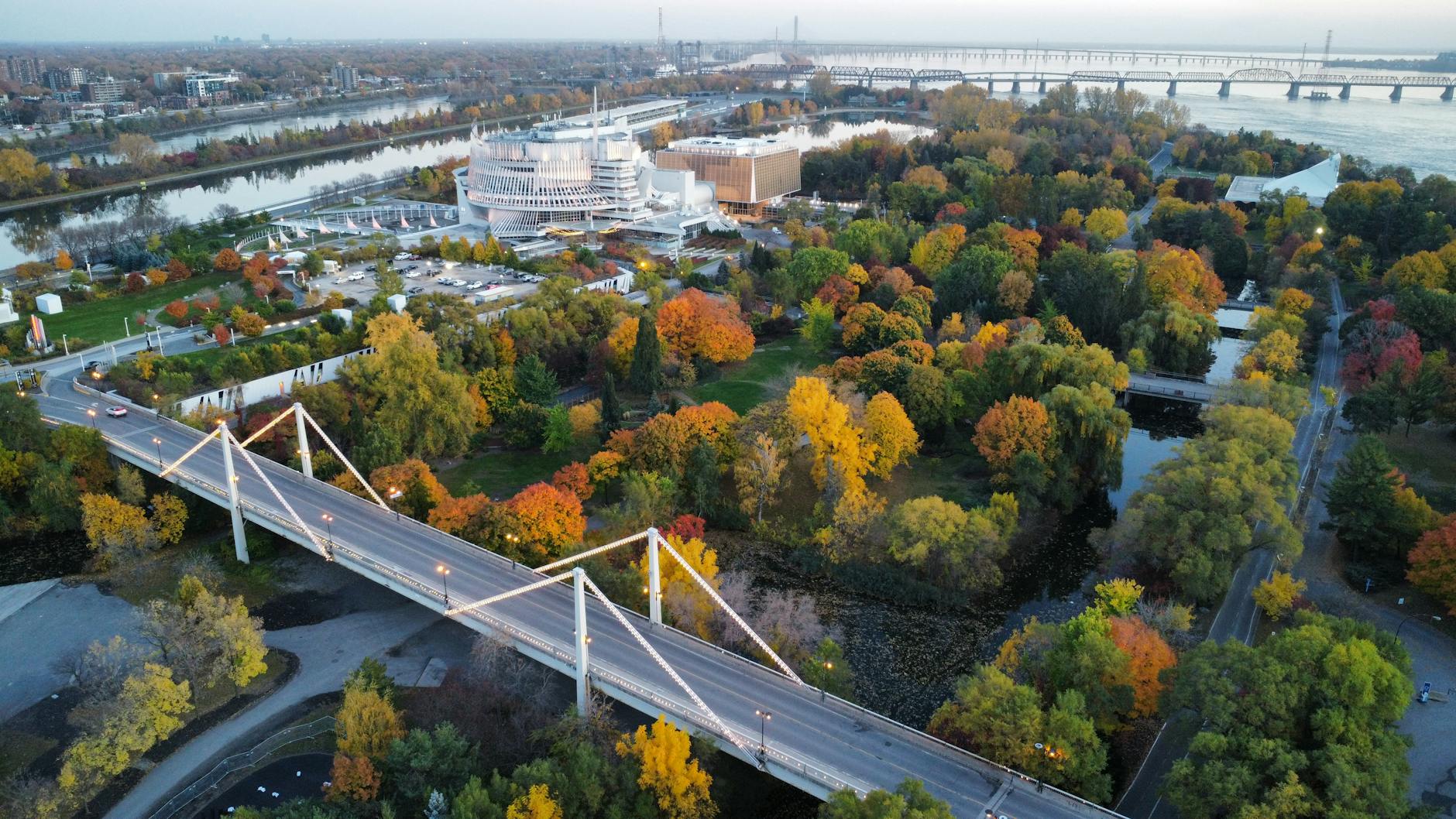 Aerial view of autumn colors in a Montreal park