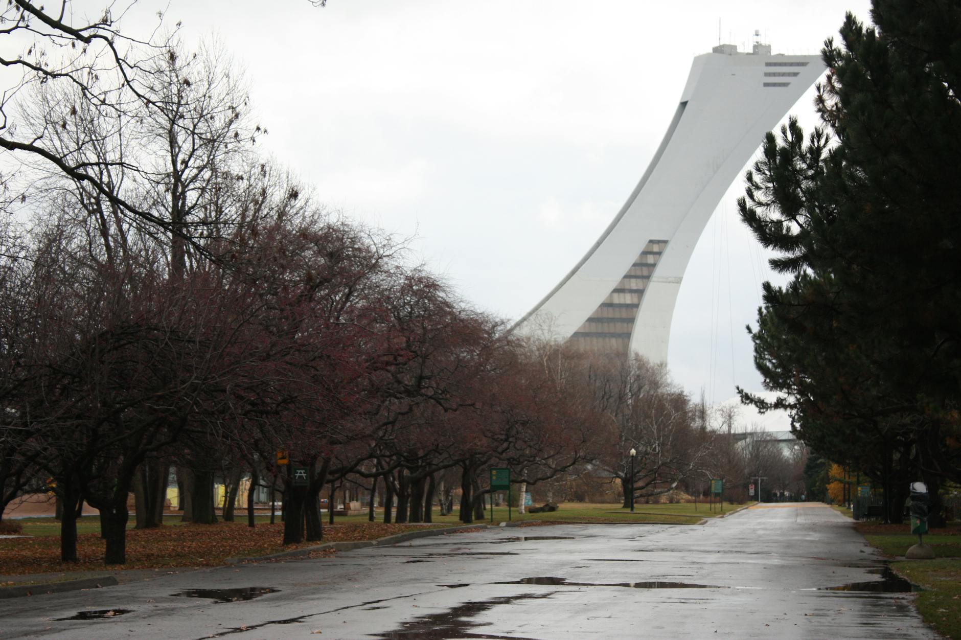 Montreal Olympic Tower framed by autumn trees