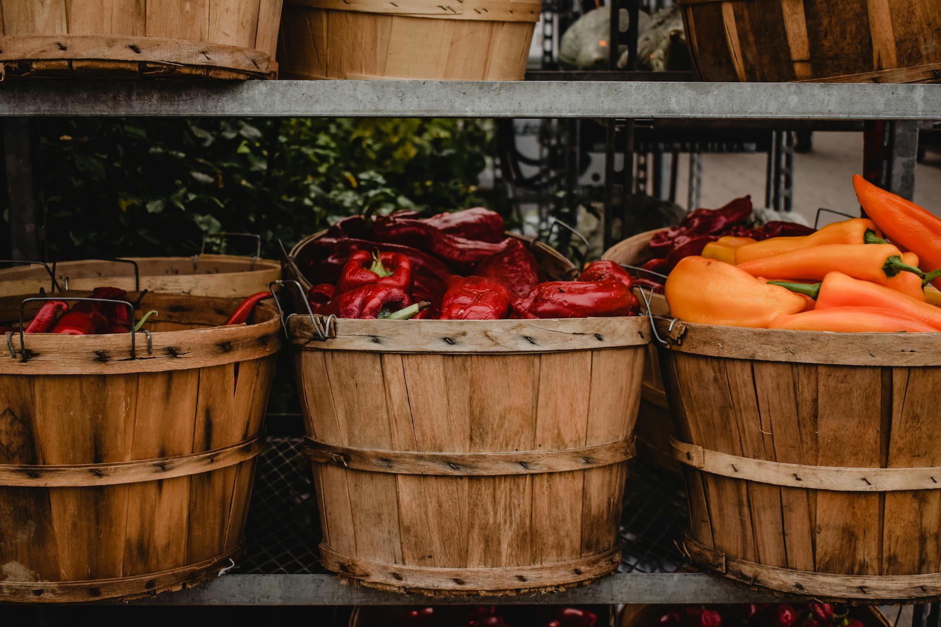 Peppers at a Montreal market