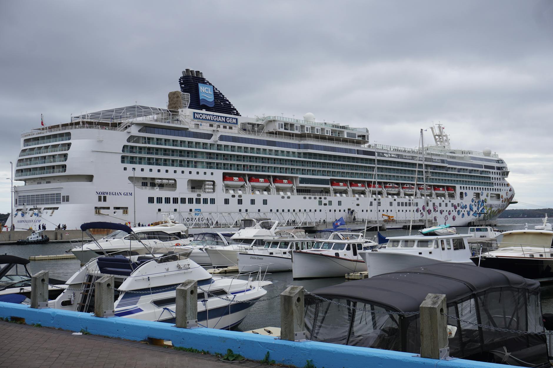 Large cruise ship docked at harbor