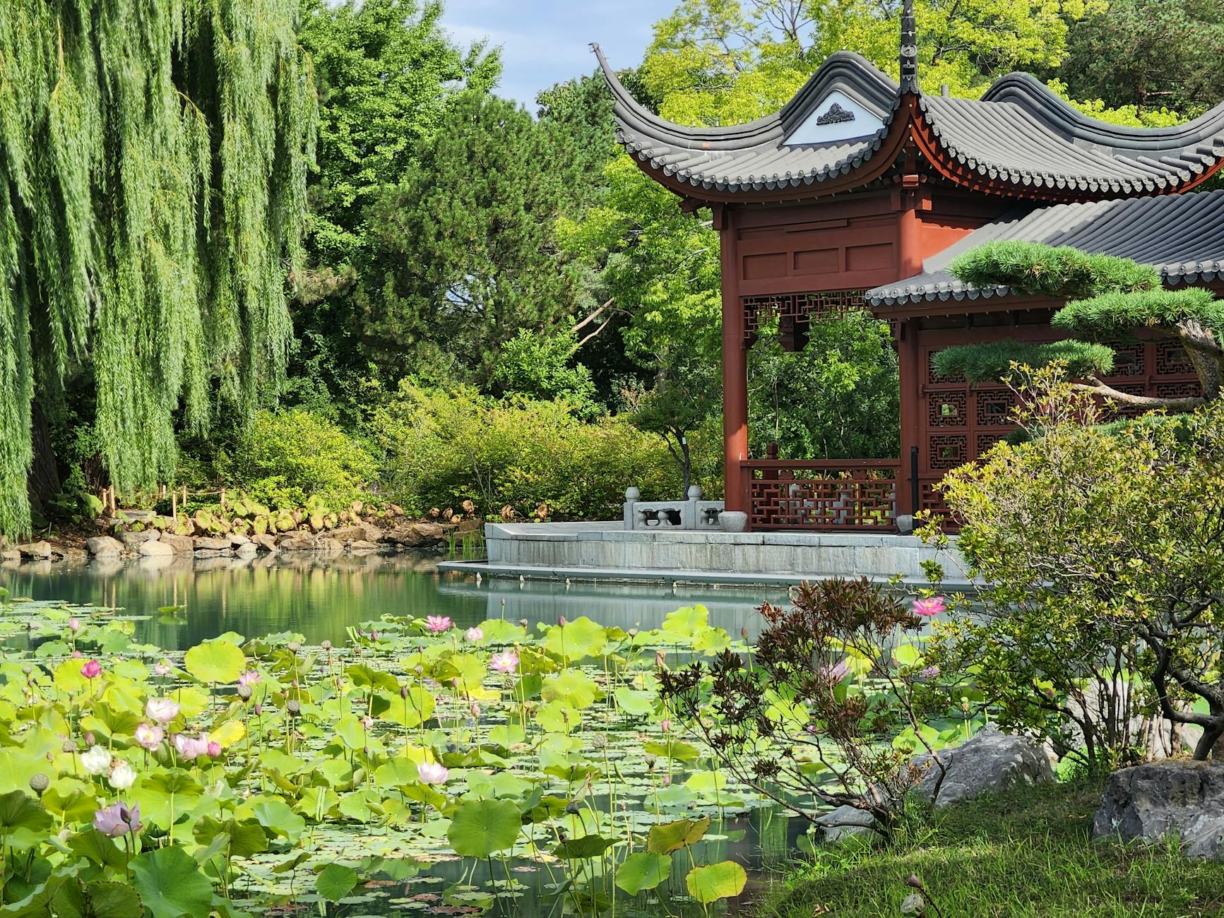 Chinese Garden at Montreal Botanical Garden