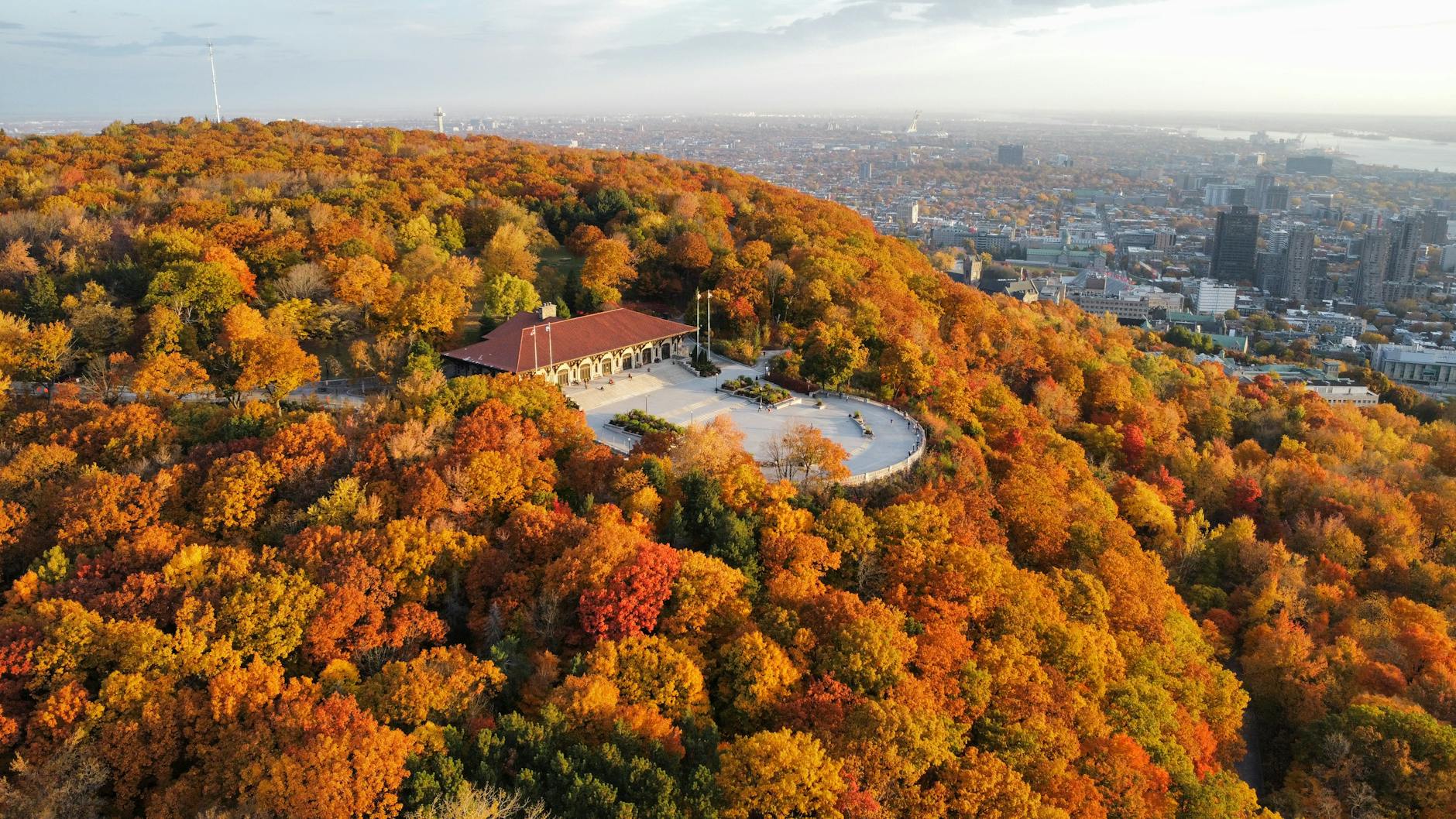 Mont Royal and Montreal in autumn