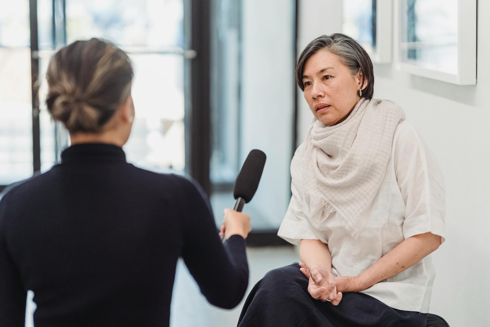 Professional interview setting with journalist and guest