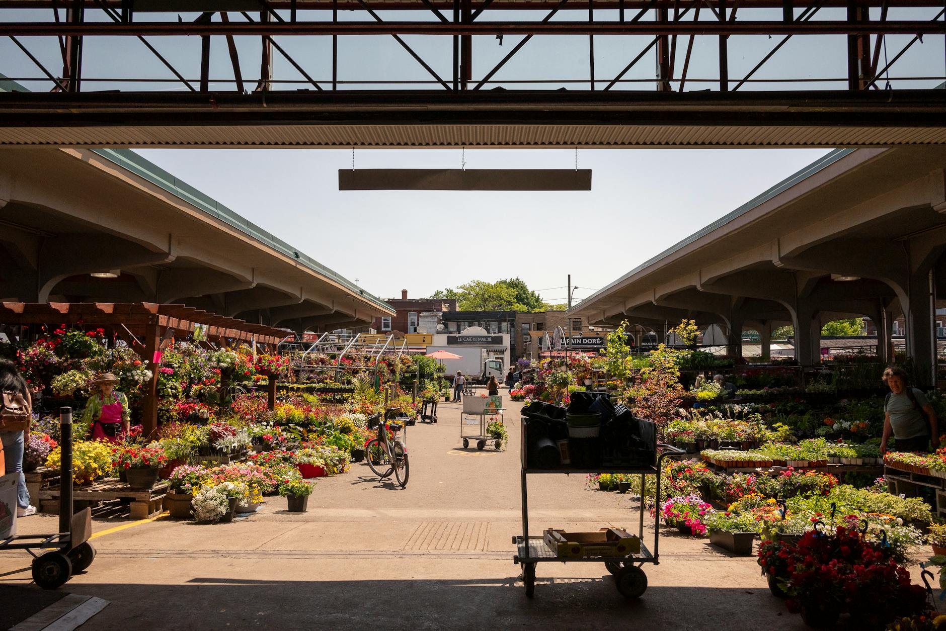Colorful Montreal flower market