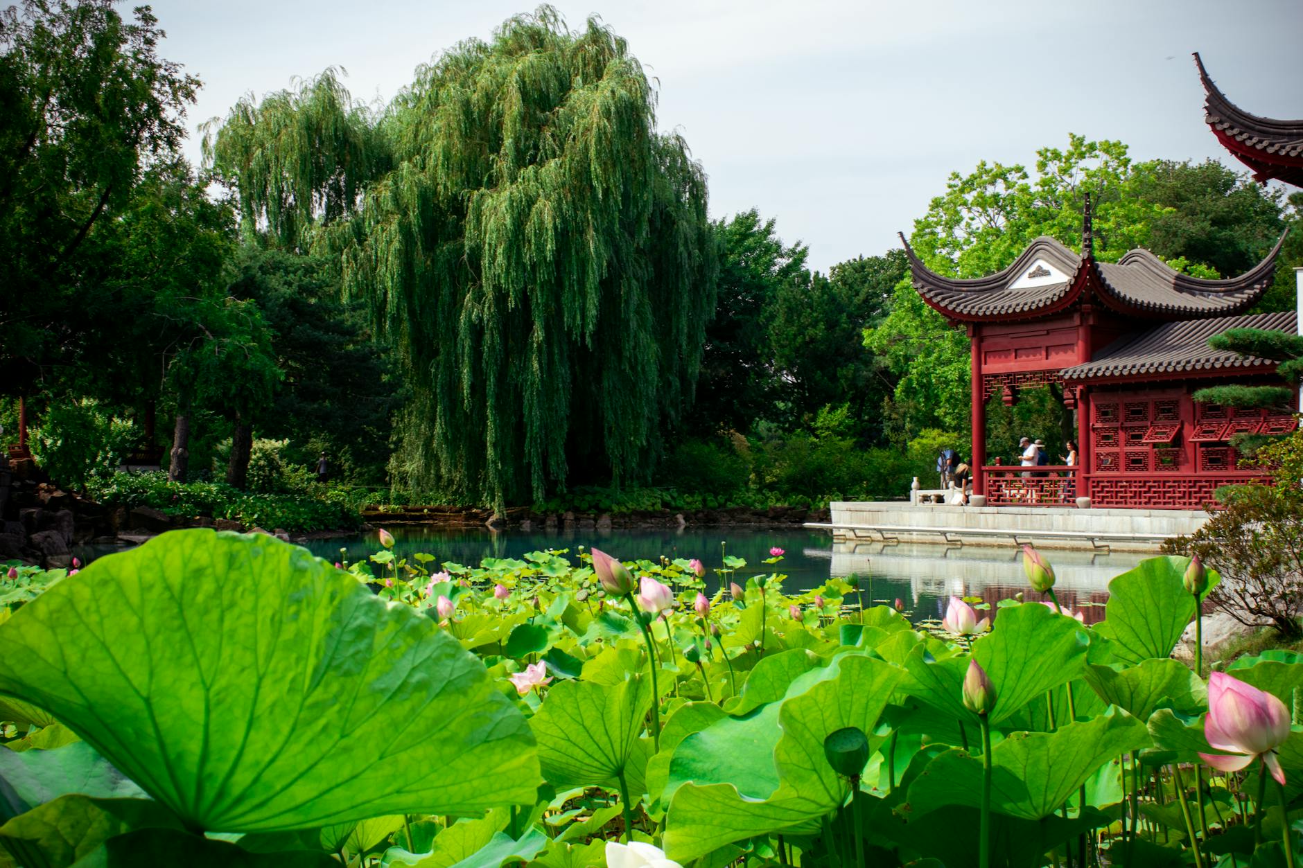 Montreal Chinese garden pavilion by water