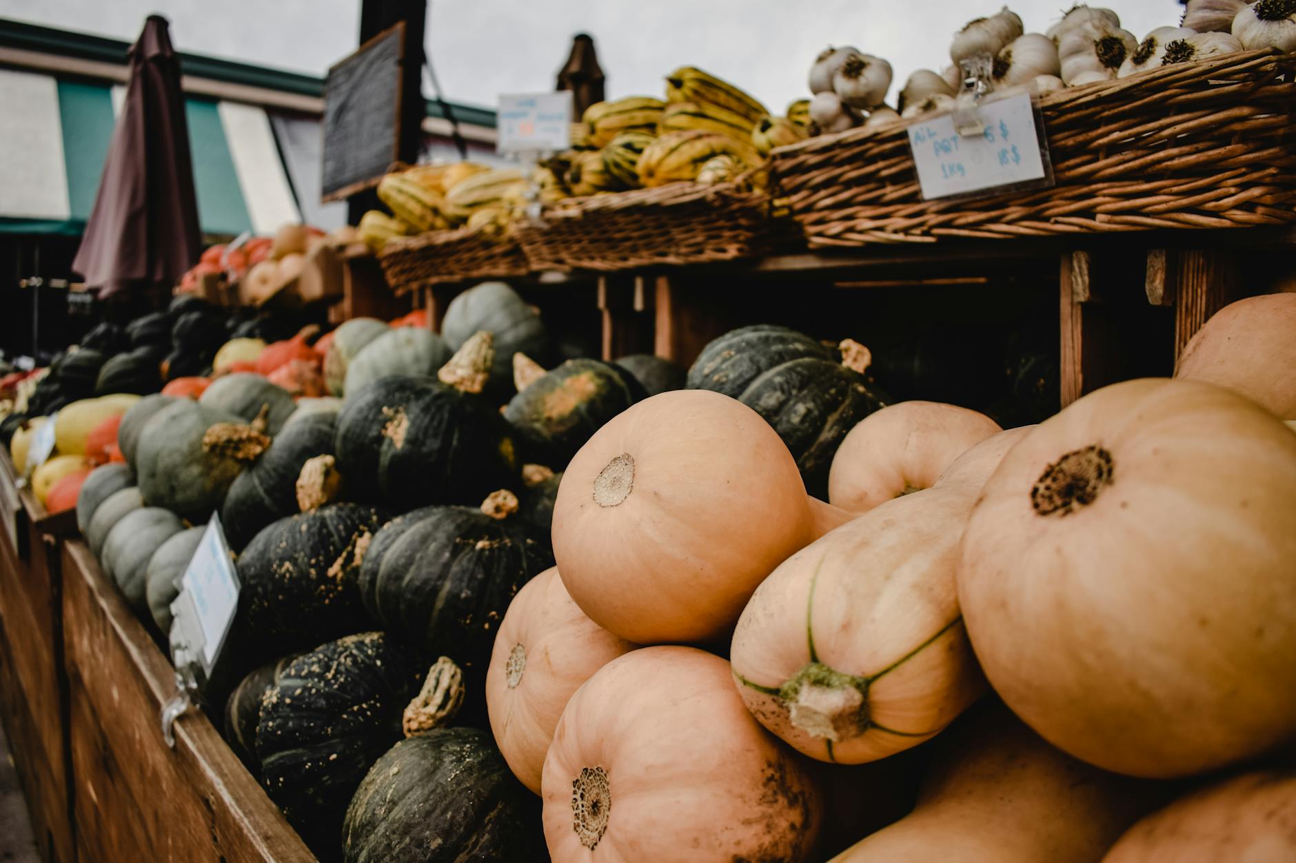 Squash and garlic at a Montreal market stall