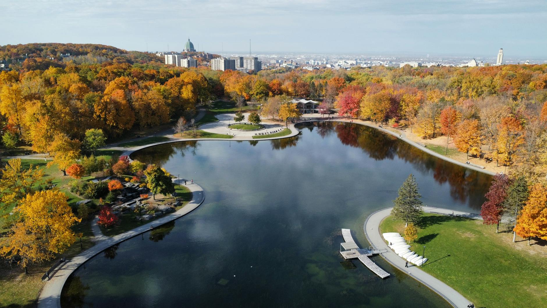 Montreal park in autumn from above