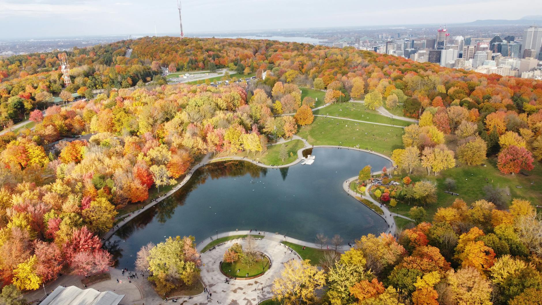Aerial view of Mount Royal Park in autumn