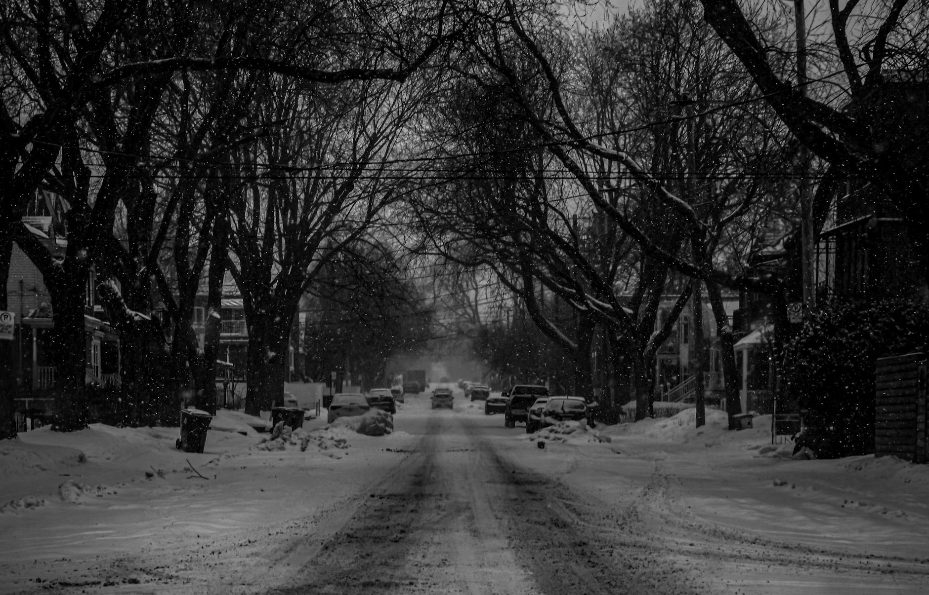 Snow-covered Montreal street