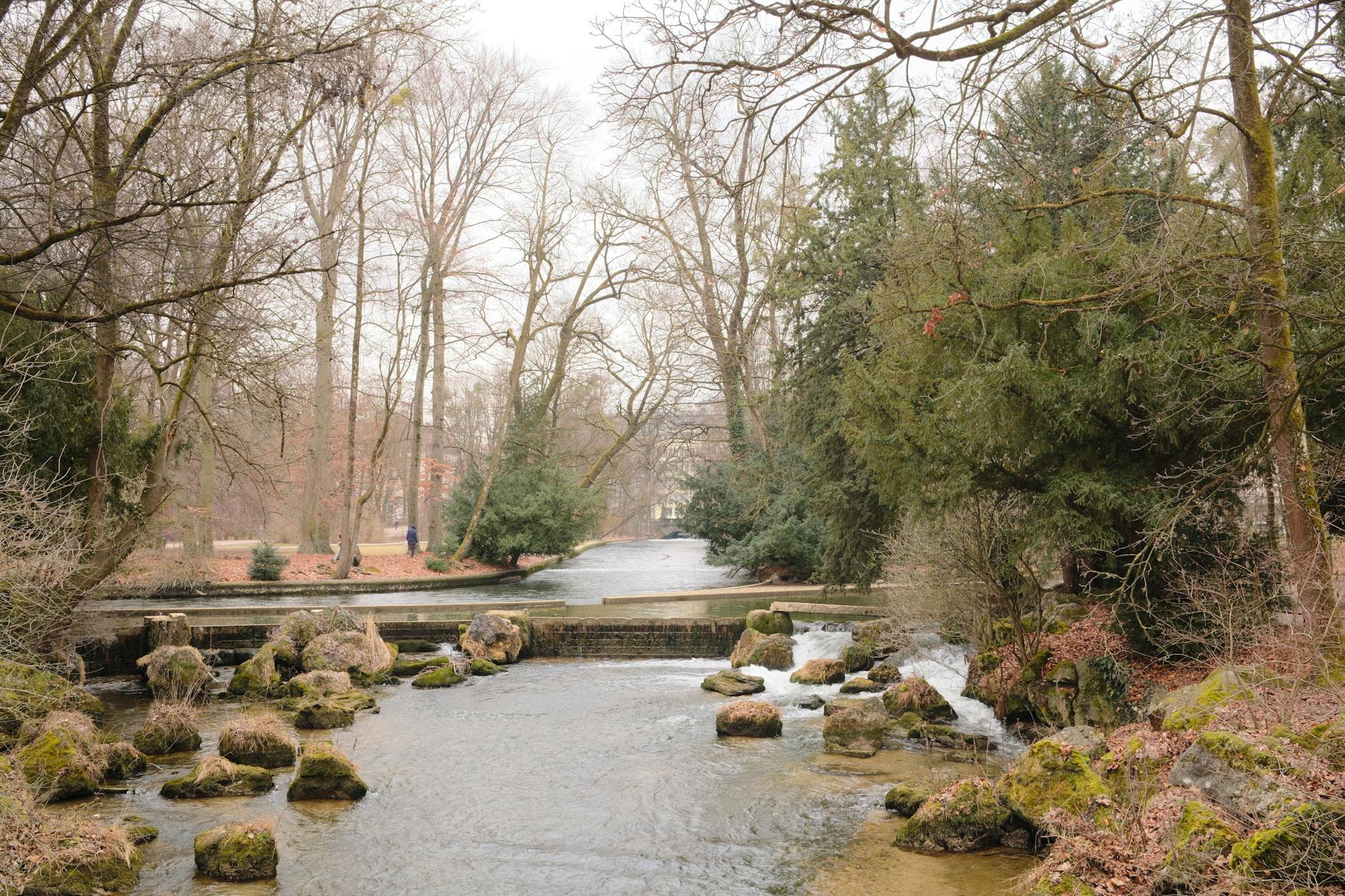 Winter stream in Munich's English Garden