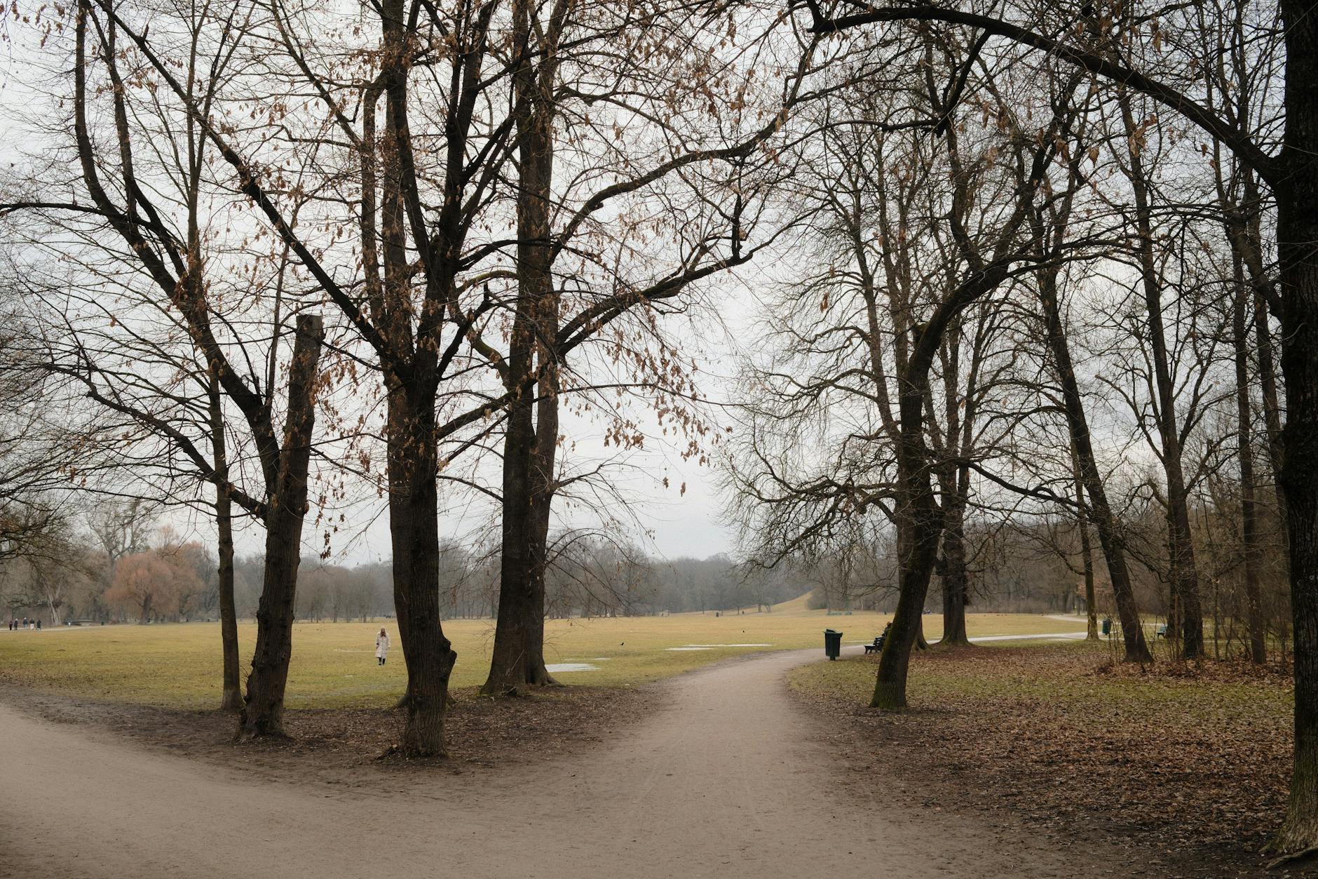 Park pathway in Munich during winter