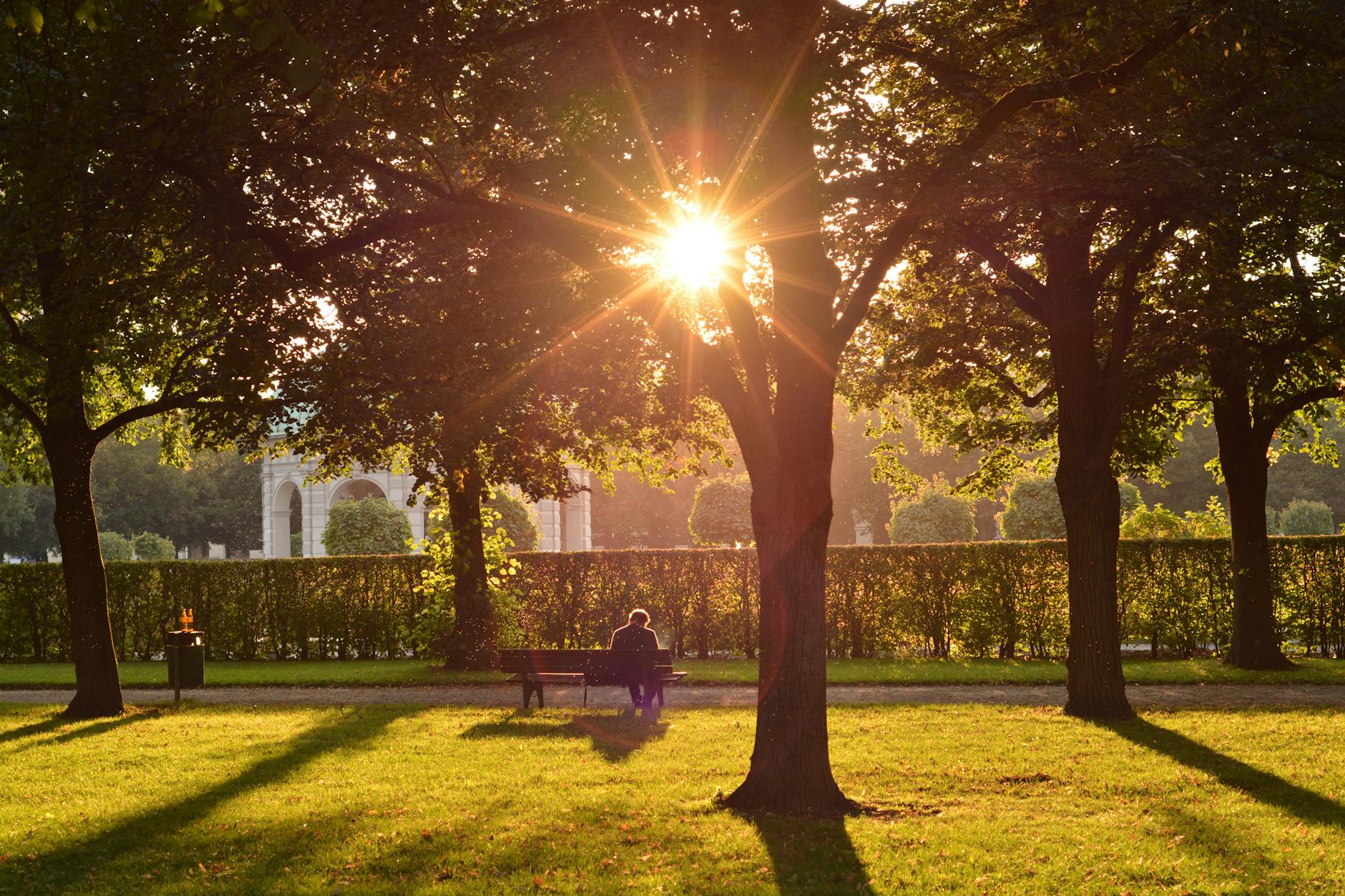 Bench at sunset in a Munich park