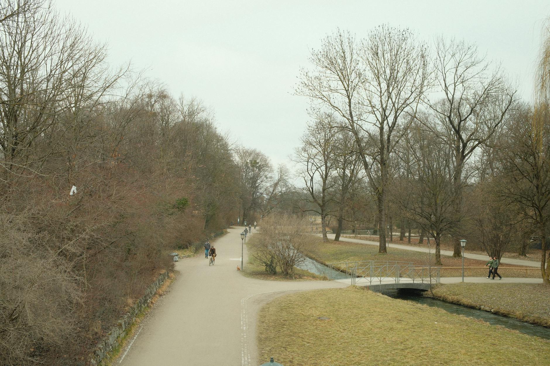 Winter pathway in Munich's English Garden