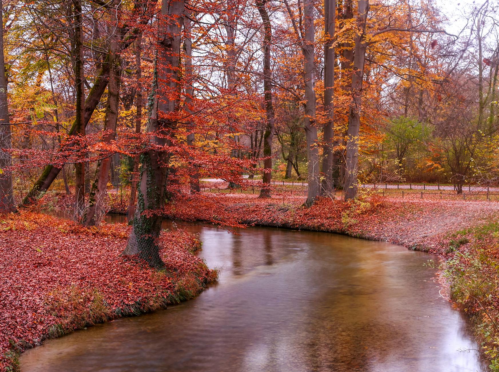 Autumn park landscape in Munich
