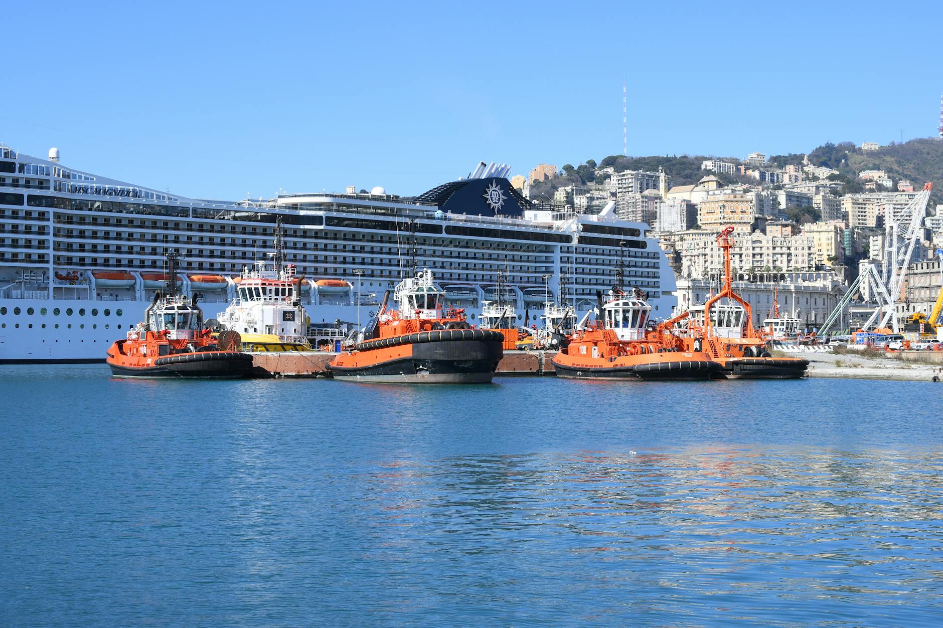 Cruise ship and tugboats in a sunny harbor