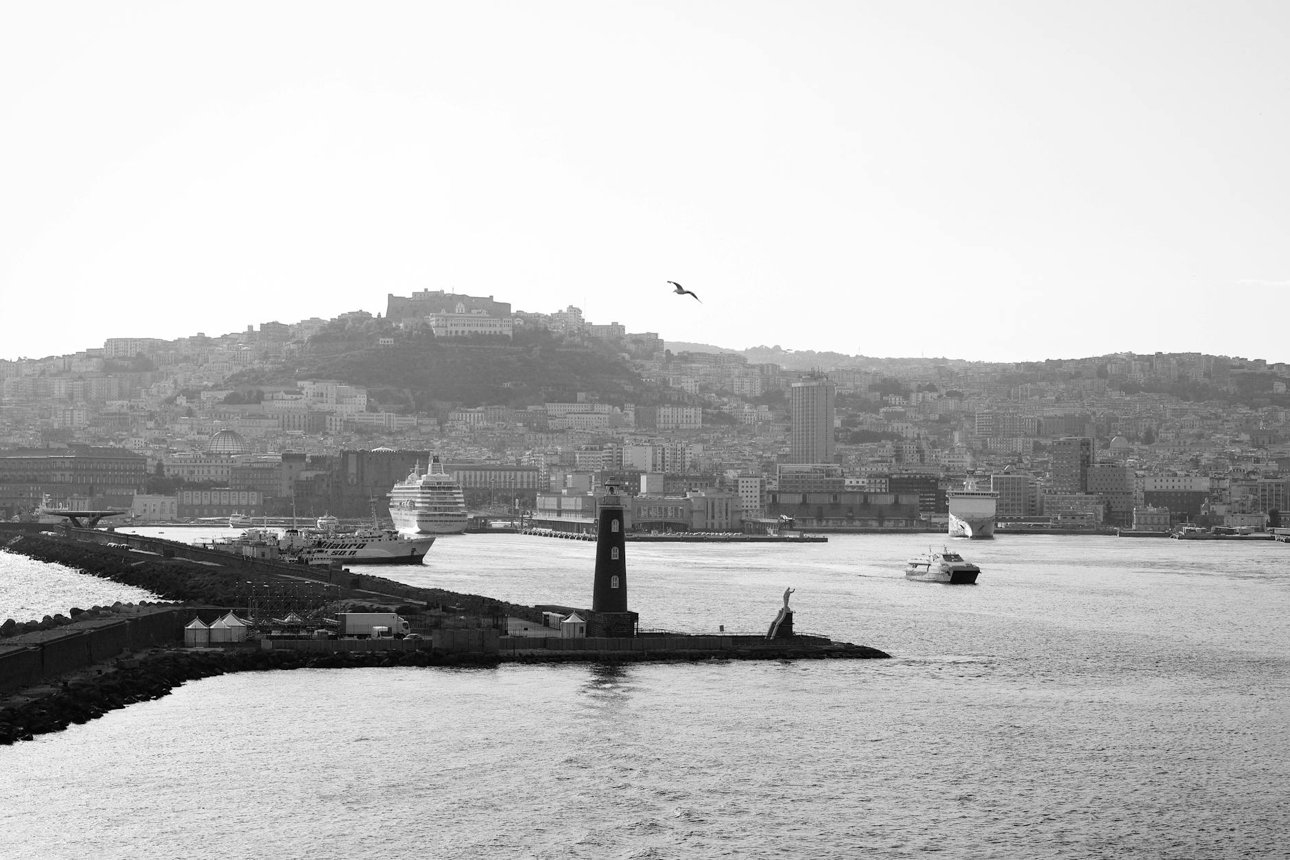 Naples harbor with cruise ships and cityscape