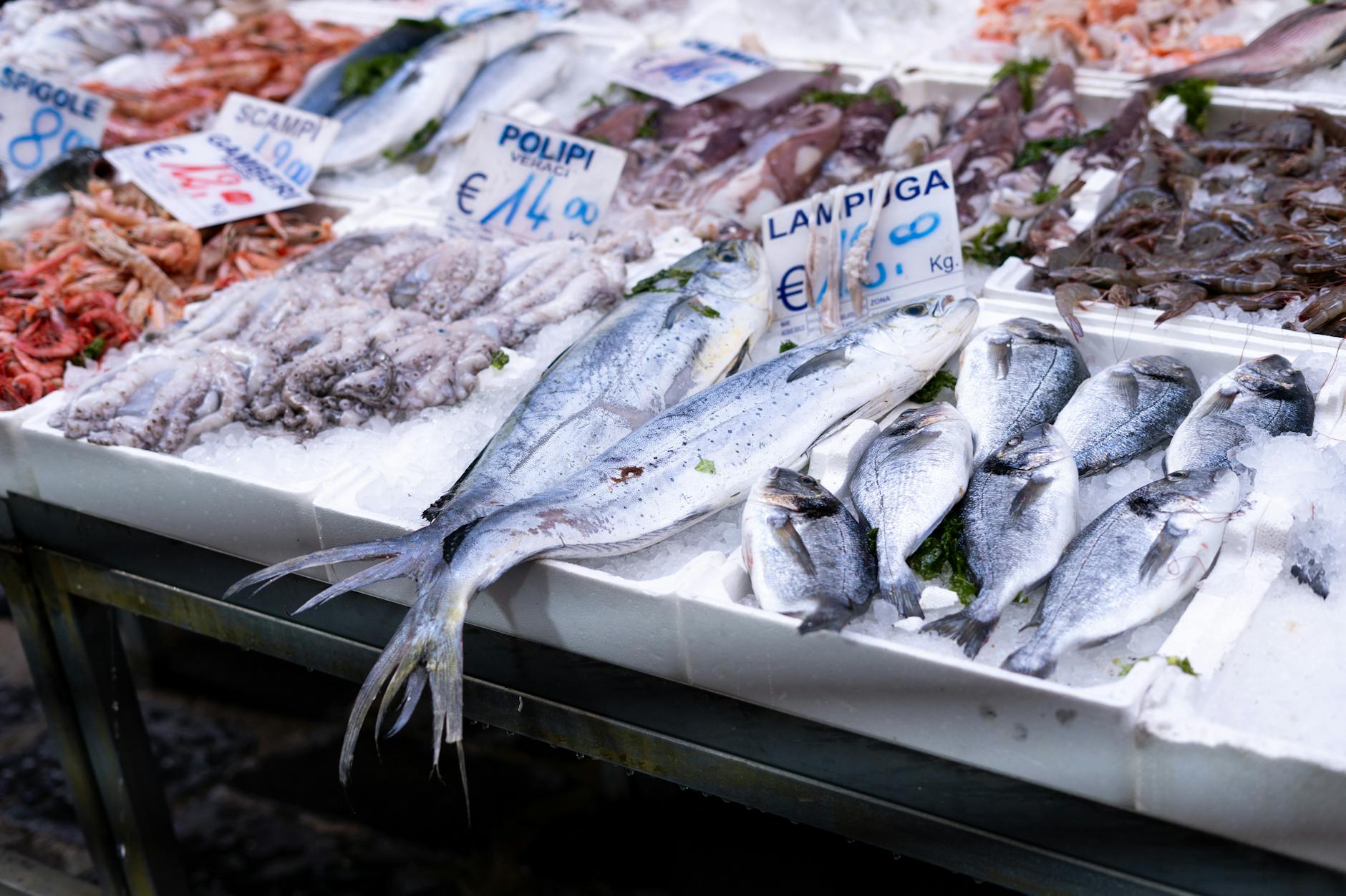 Fresh seafood displayed at a Naples market stall