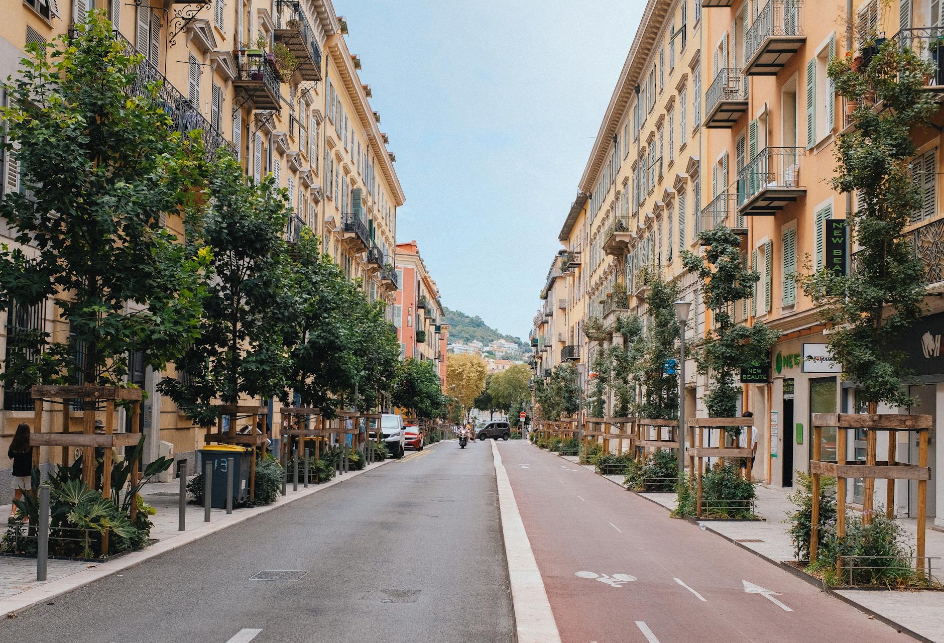 Tree-lined street with classic European architecture in Nice