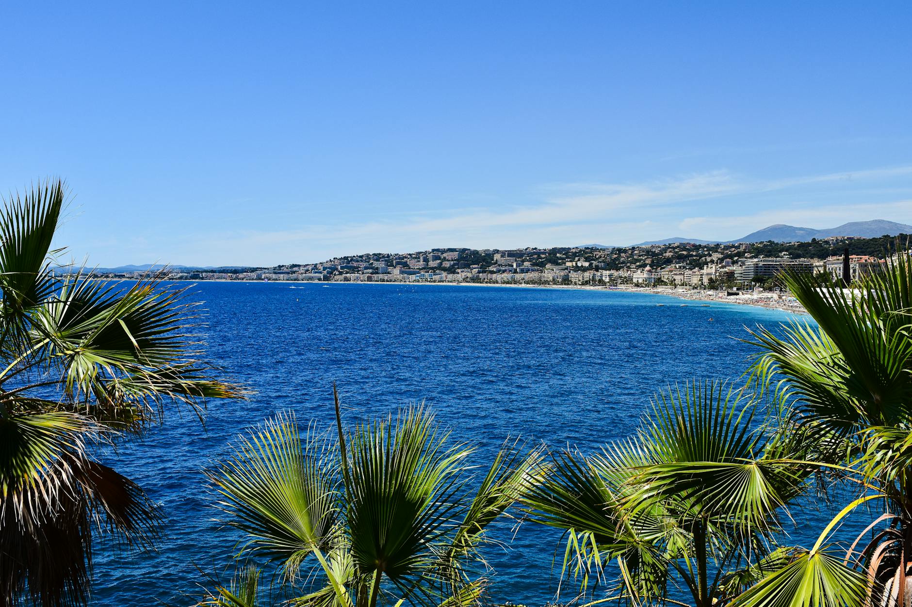 Azure Cote d'Azur coastline with palm trees in Provence-Alpes-Cote d'Azur