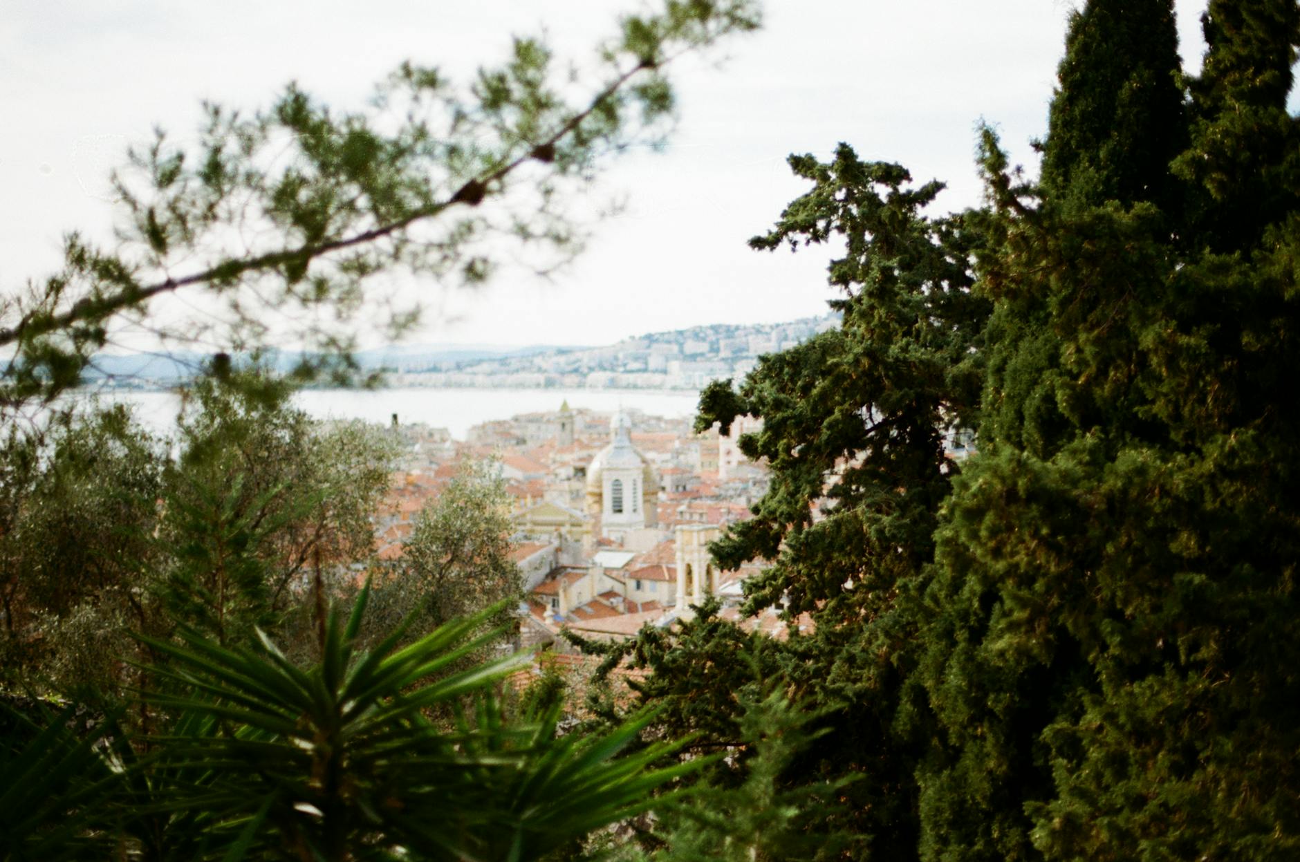 Aerial view of Nice city buildings framed by green trees