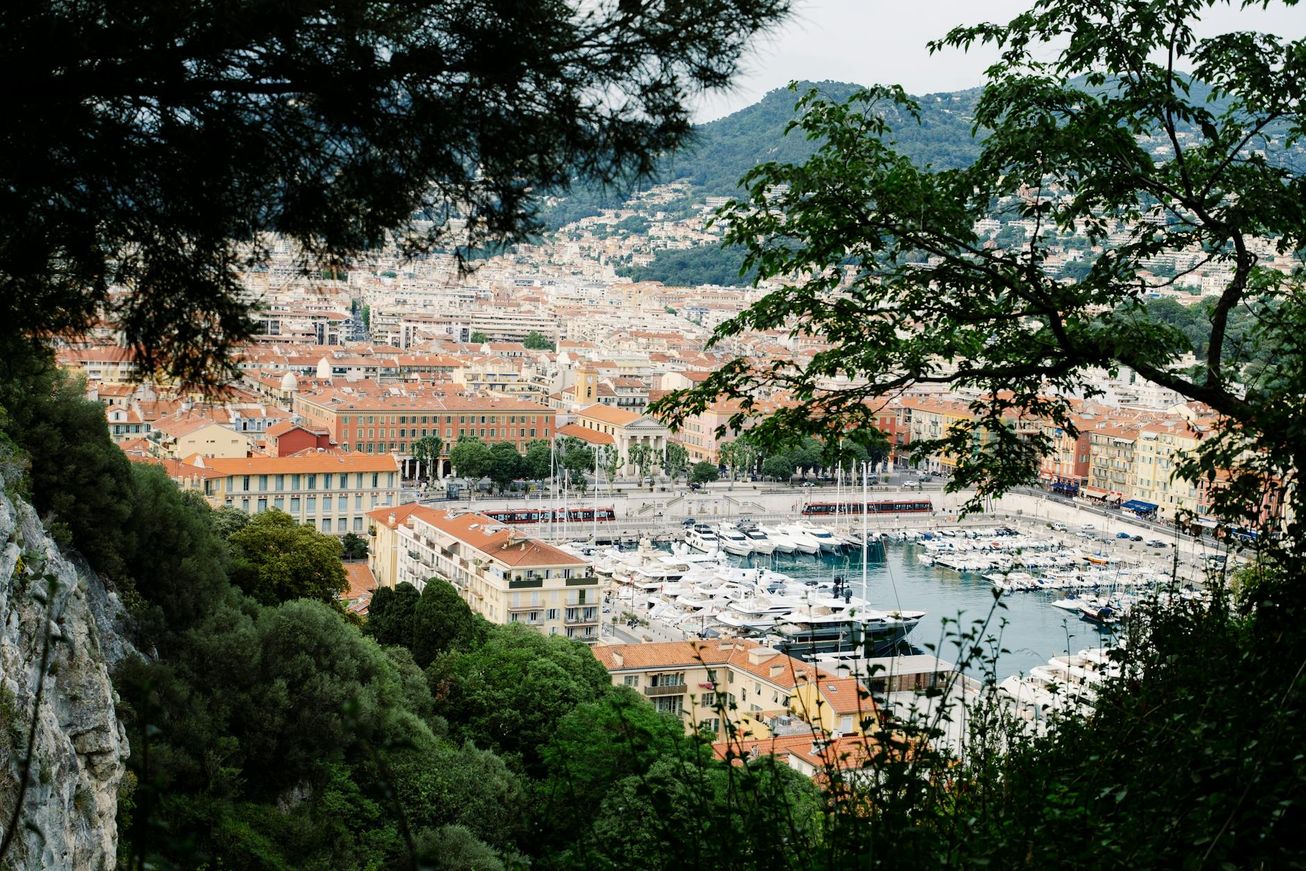 Nice harbor with yachts, buildings, and greenery