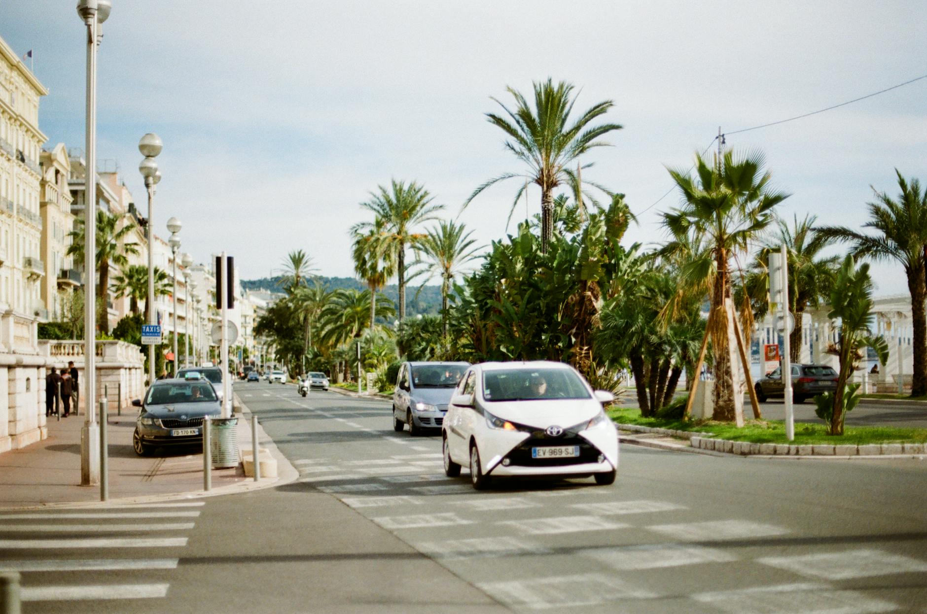 Cars moving along a palm-lined street in Nice