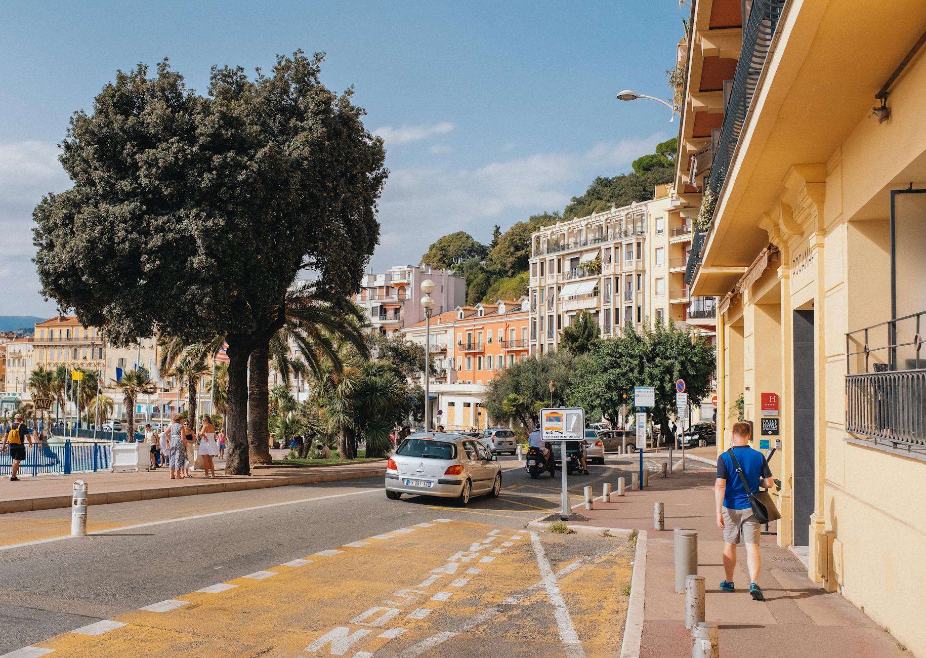 Sunny Nice street with a large tree and people walking
