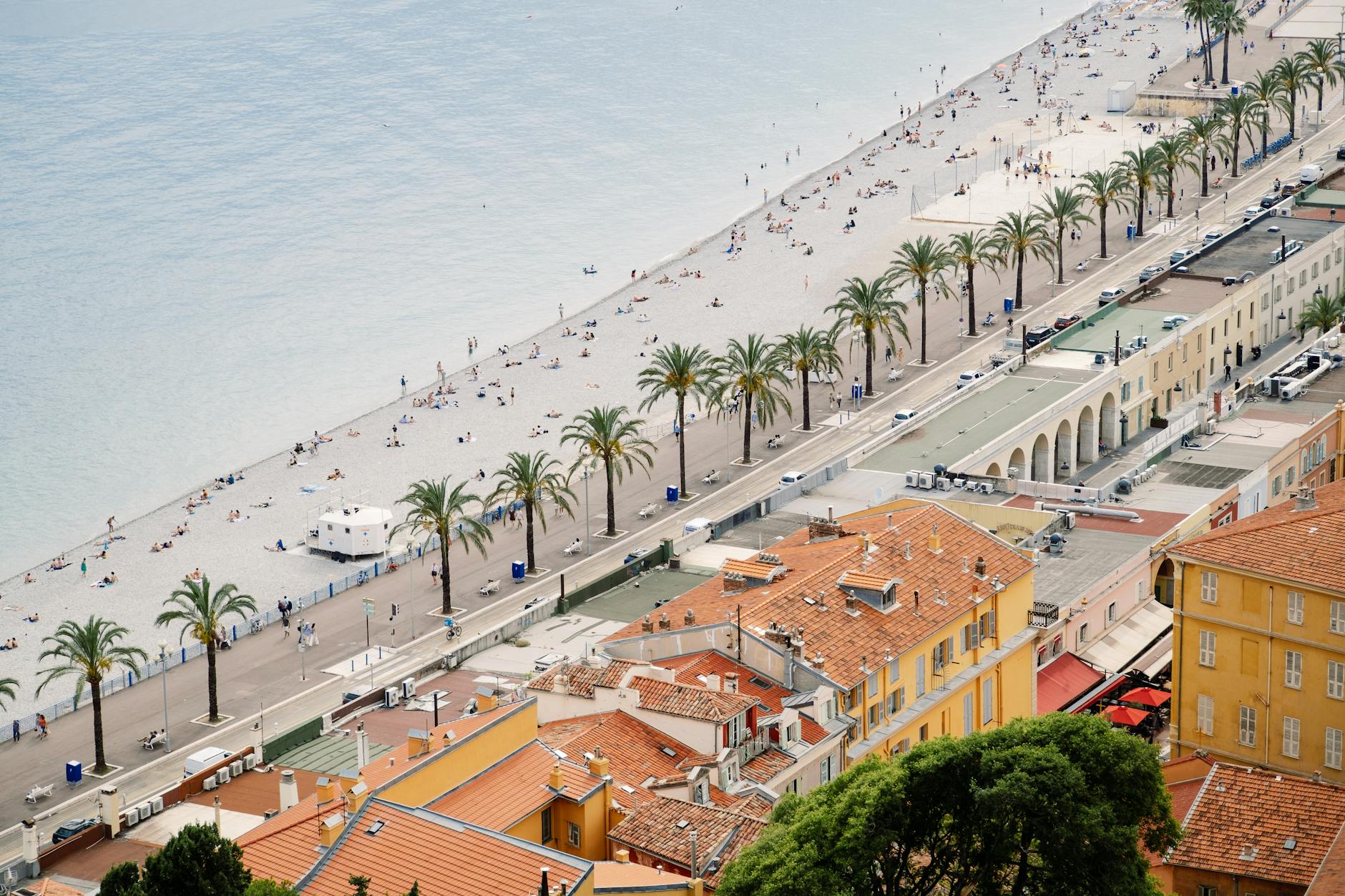 Aerial view of Nice beach, palm trees, and rooftops