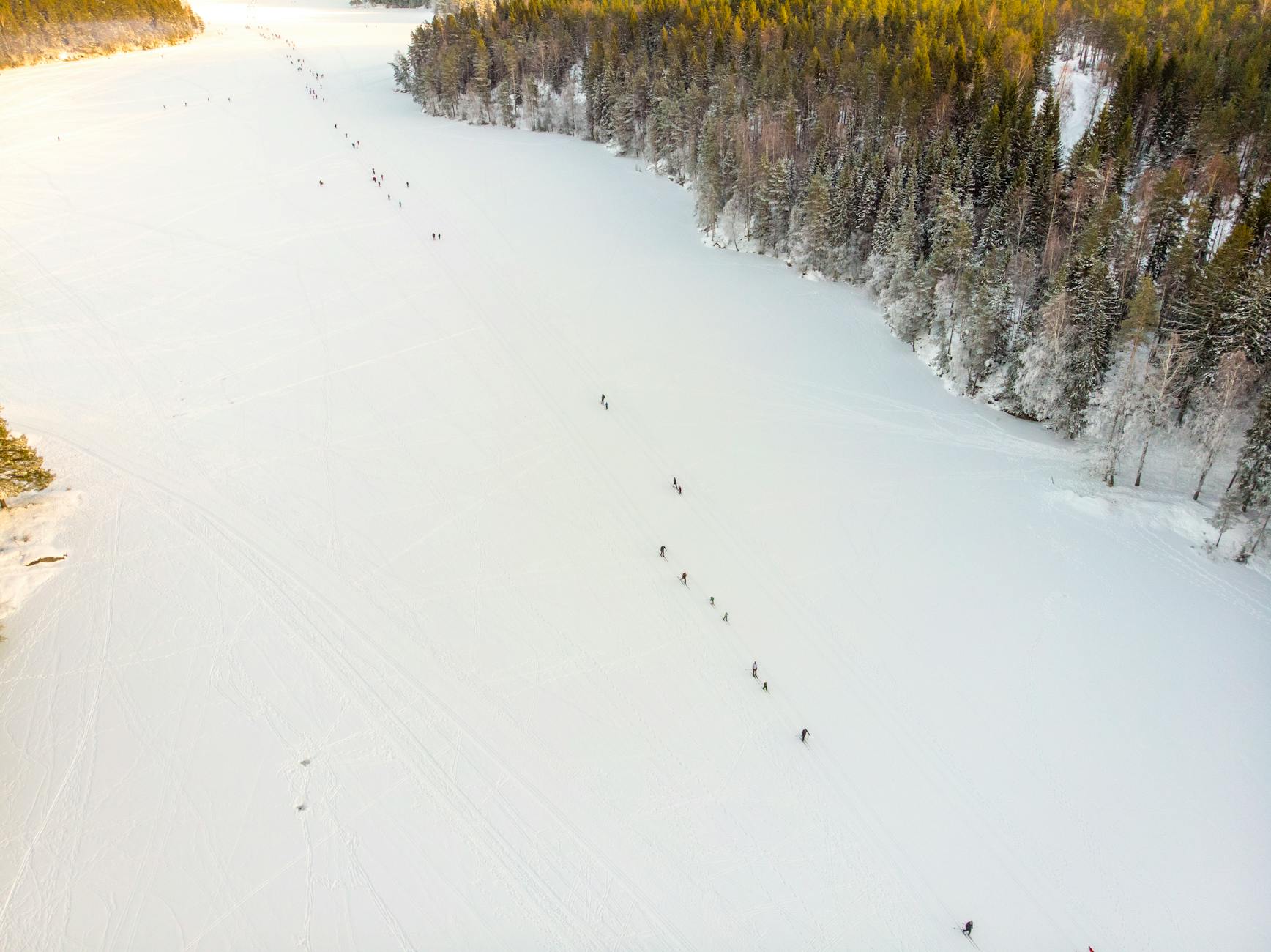 Skiers on snowy landscape near forest in Oslo