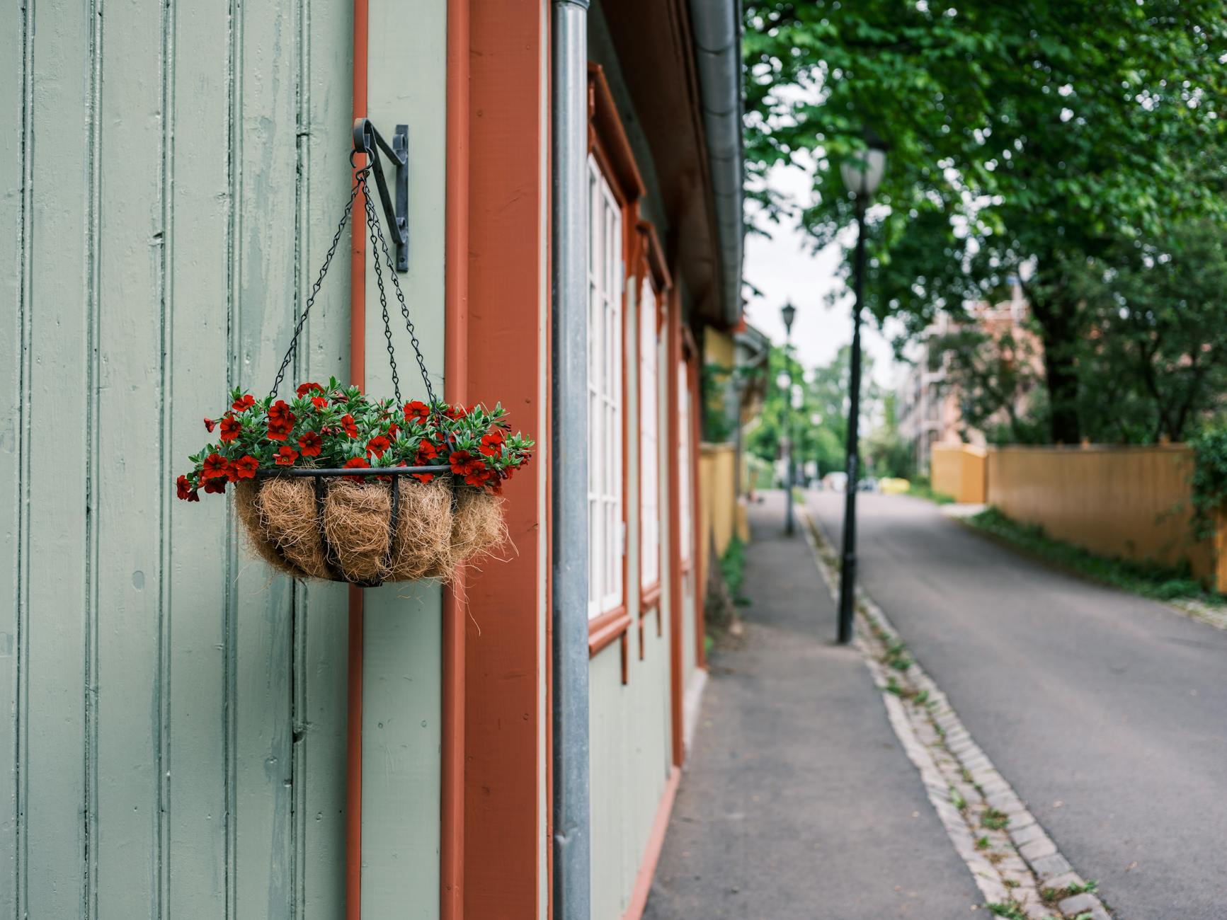 Flower basket on a quaint Oslo street