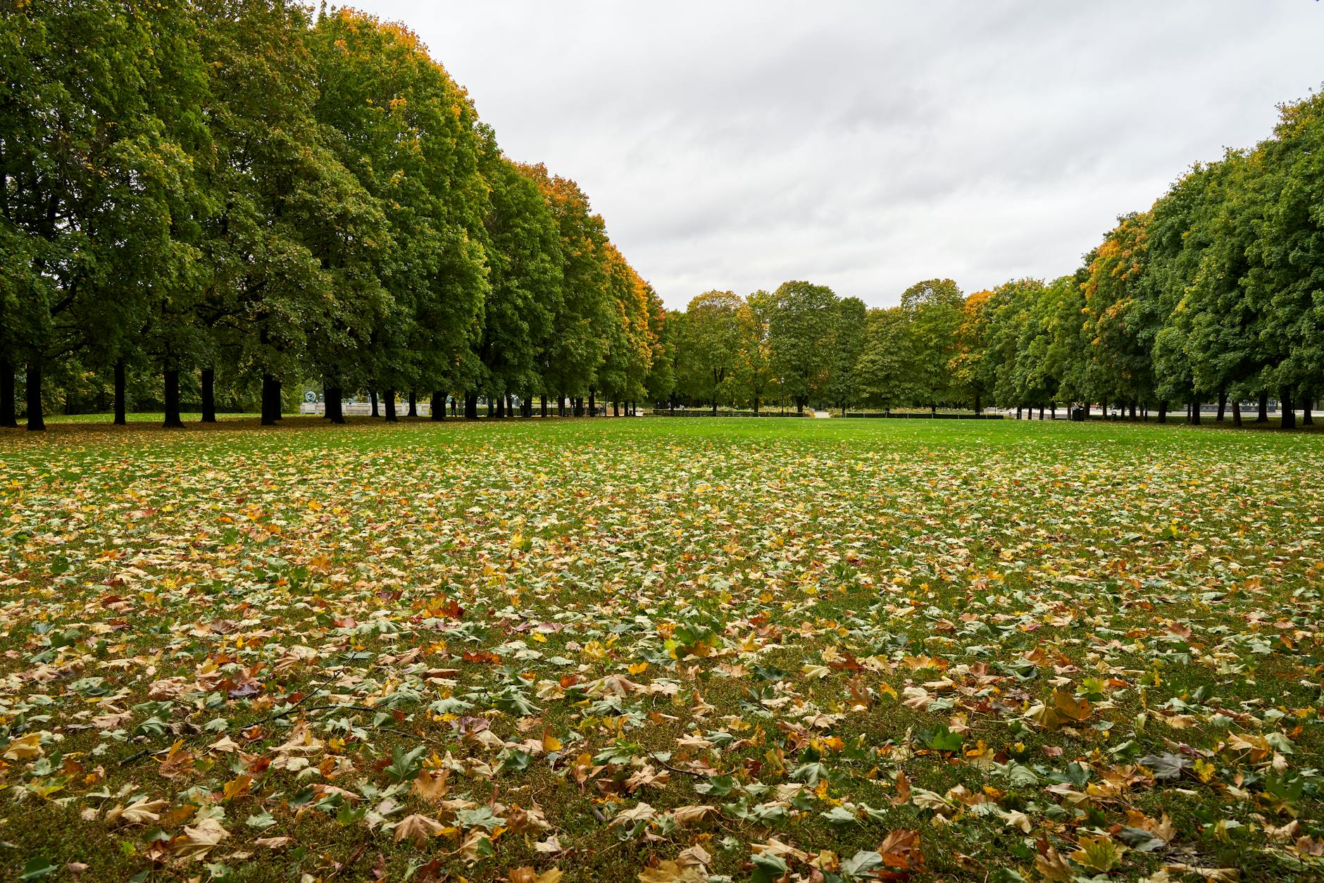 Autumn leaves across Vigeland Park in Oslo