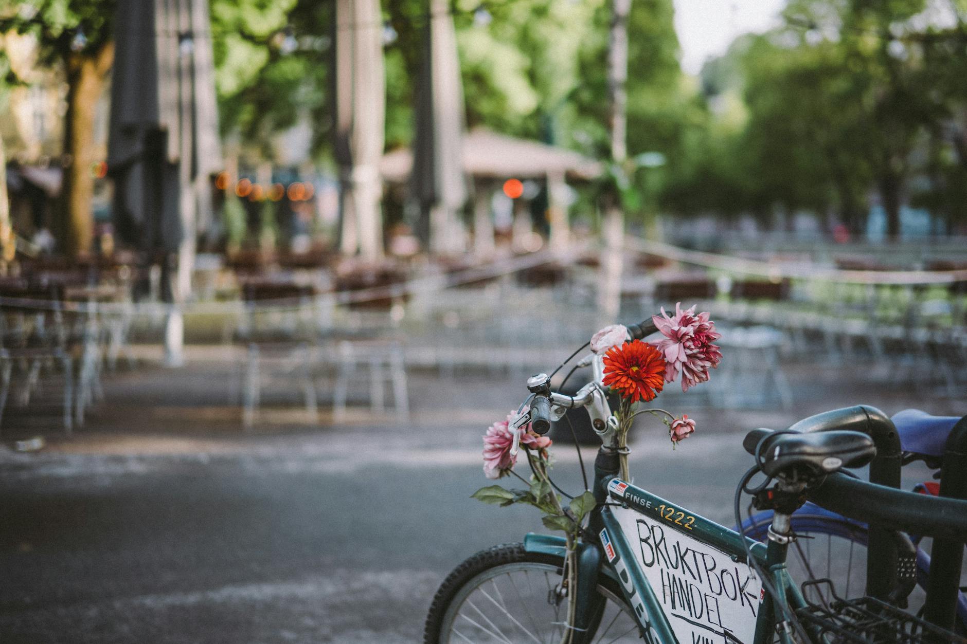 Decorated bicycle with flowers outside Oslo seating