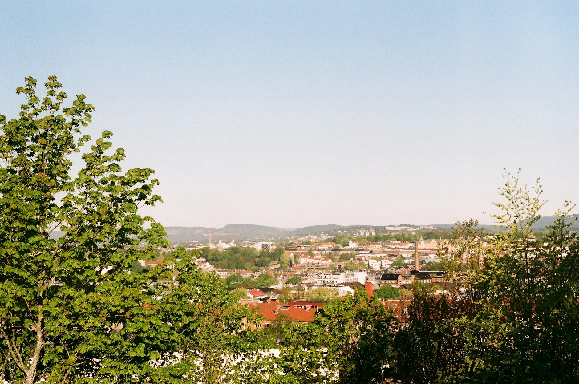 Aerial view of Oslo with greenery and clear sky