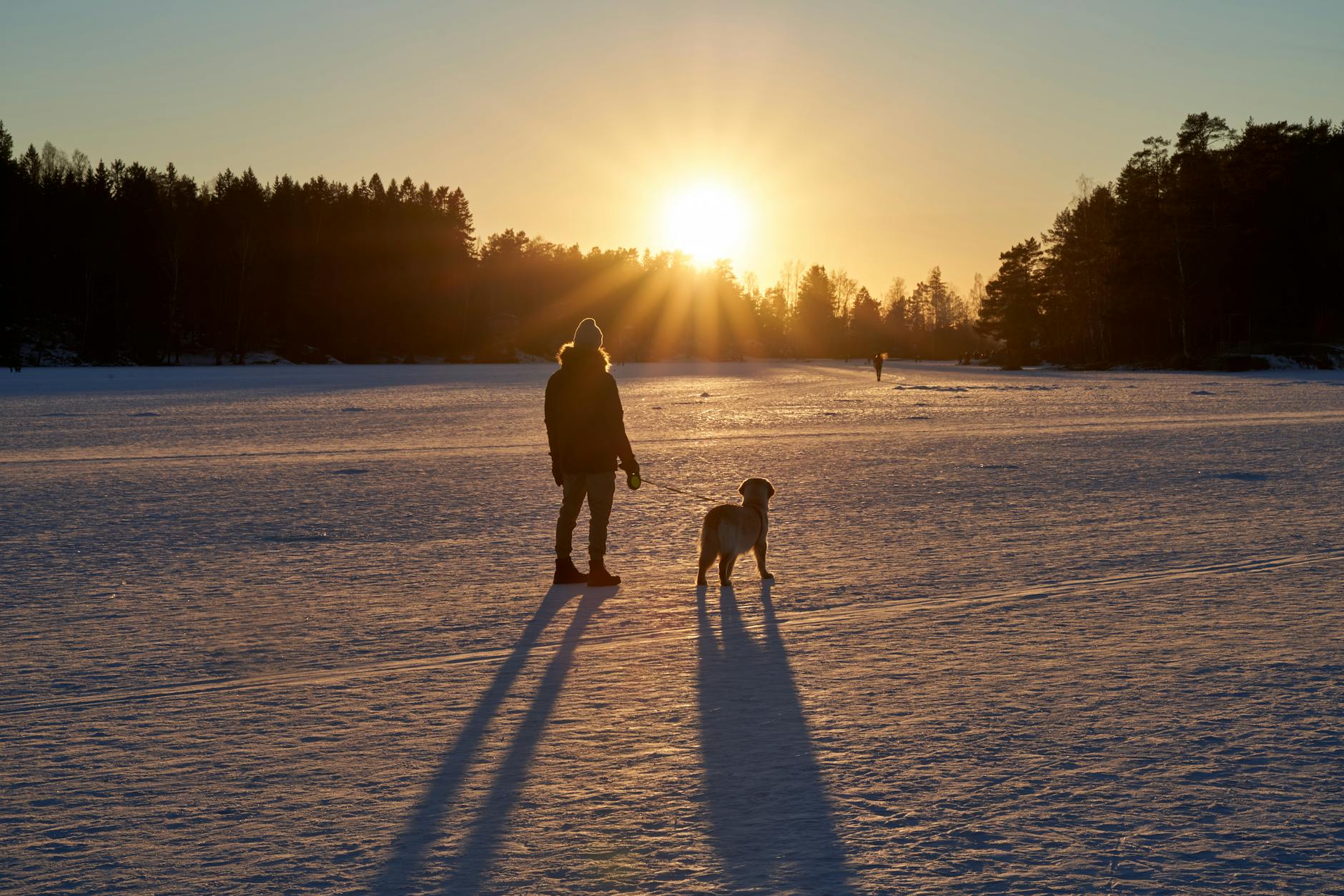 Person walking a dog on snowy Oslo landscape at sunset