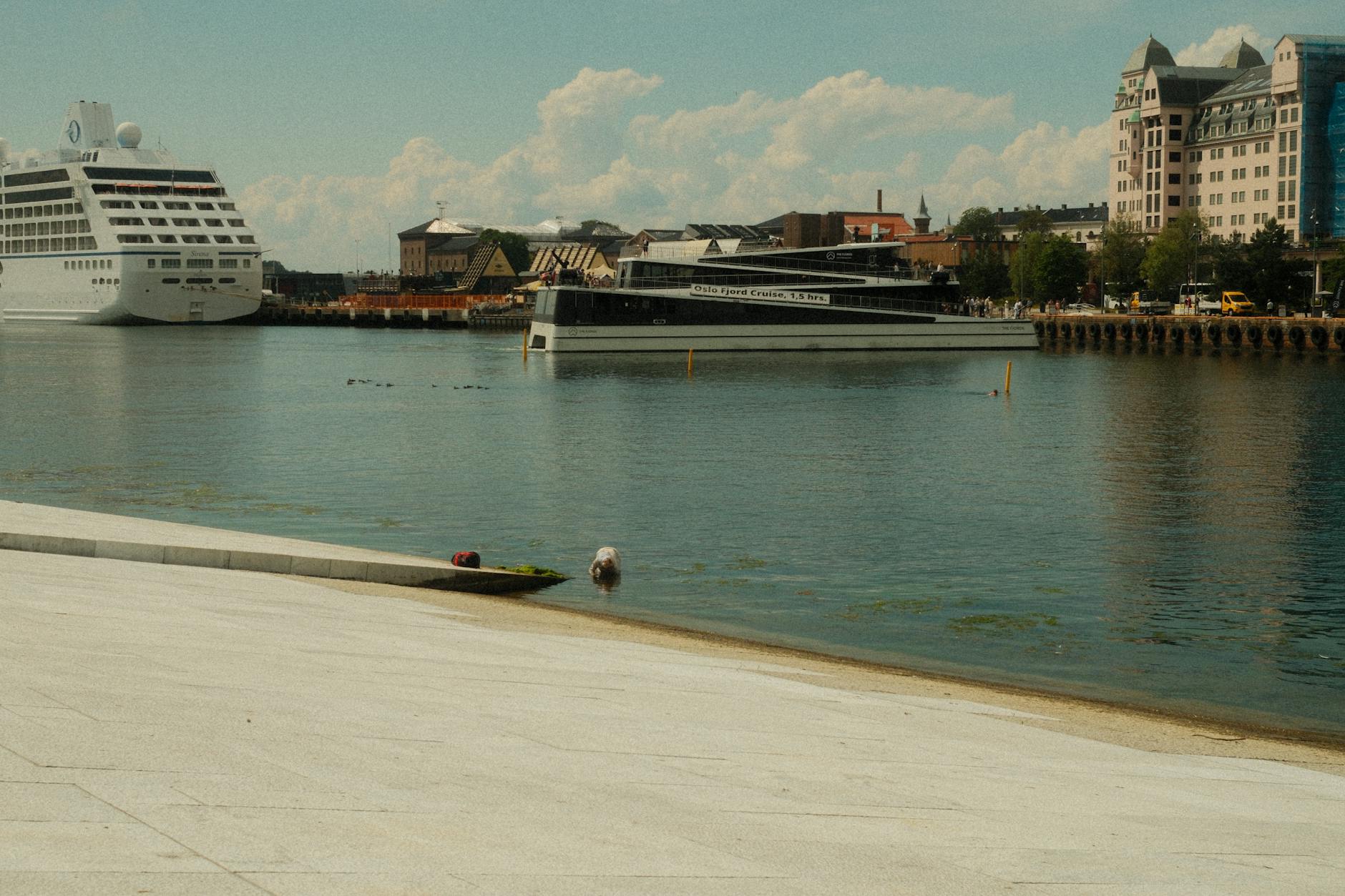 Sunny day at Oslo harbor with cruise ships and city buildings