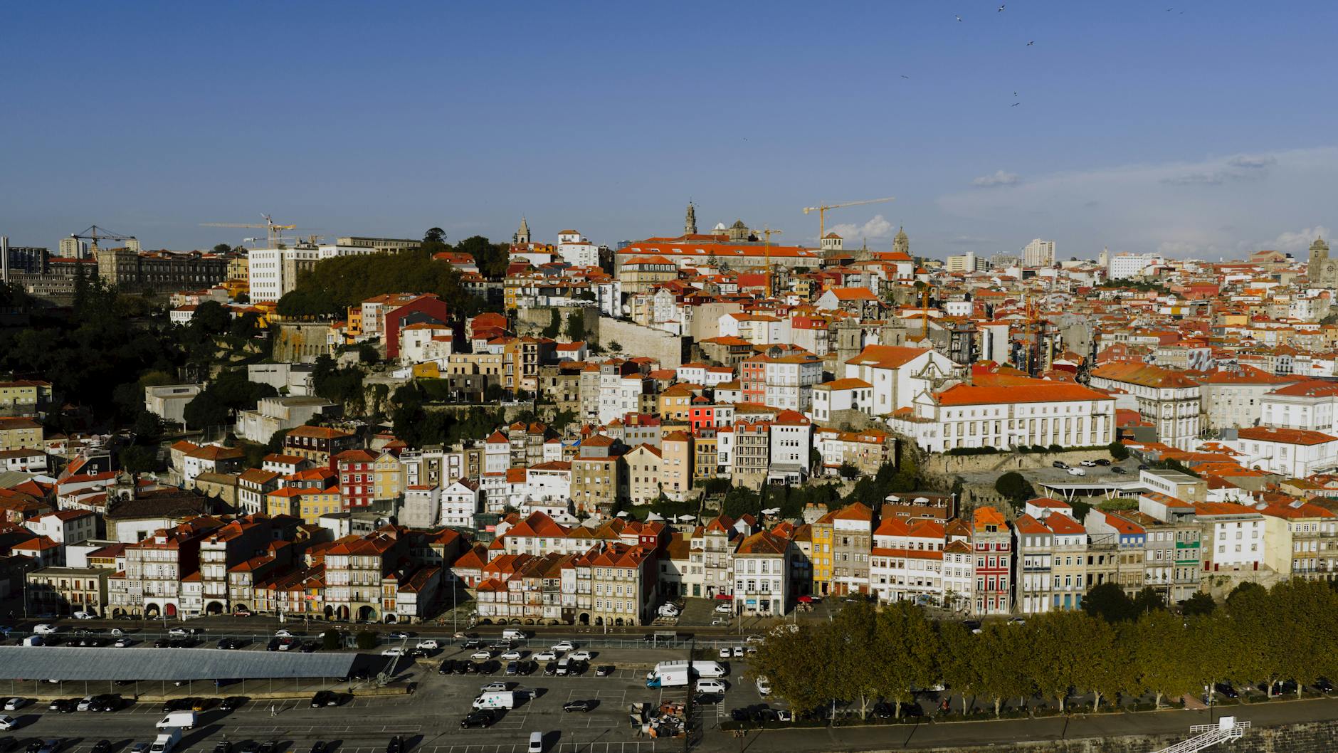 Aerial view of colorful Porto buildings under a clear sky
