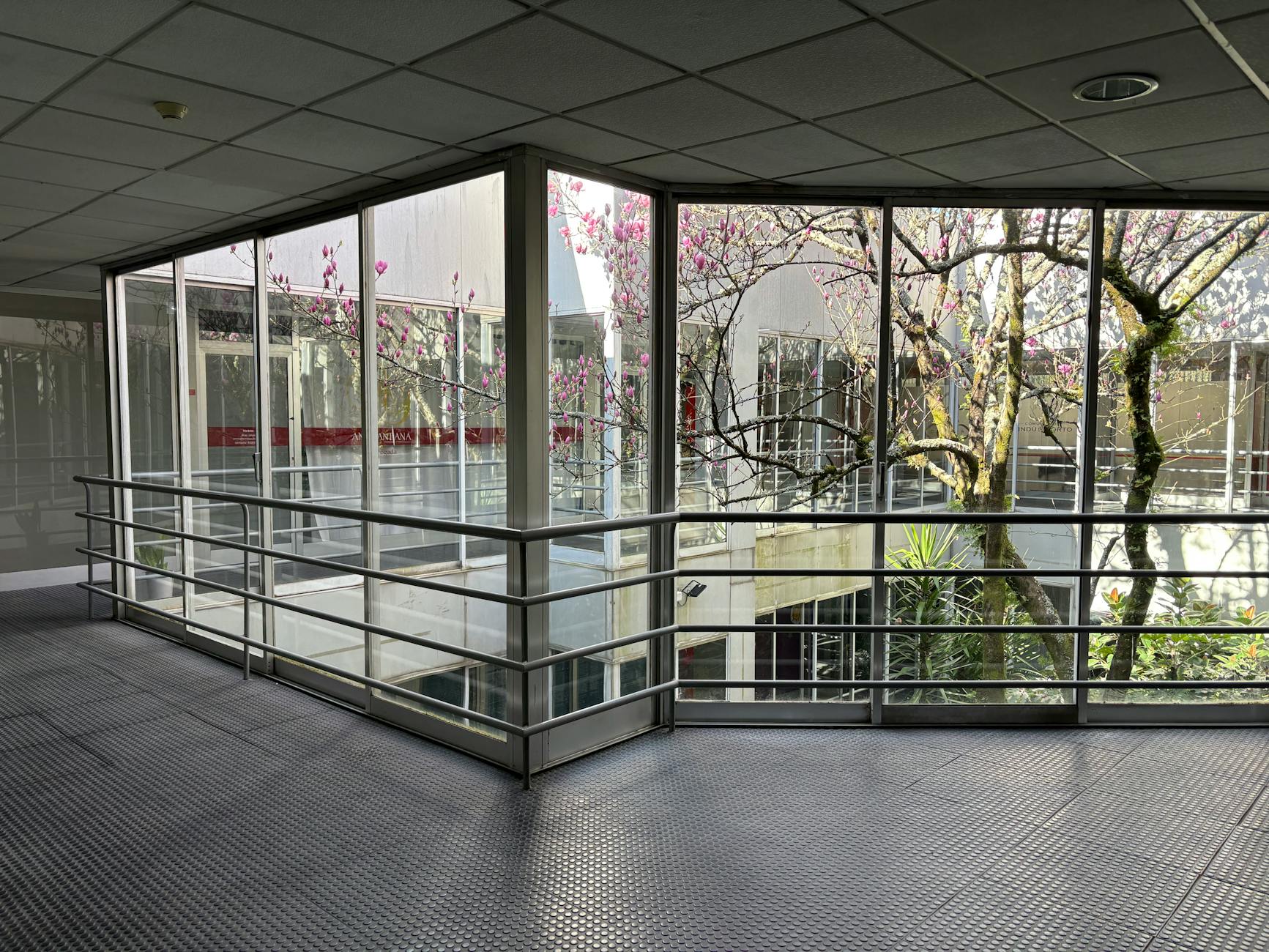 Modern atrium with large glass windows overlooking trees in Porto