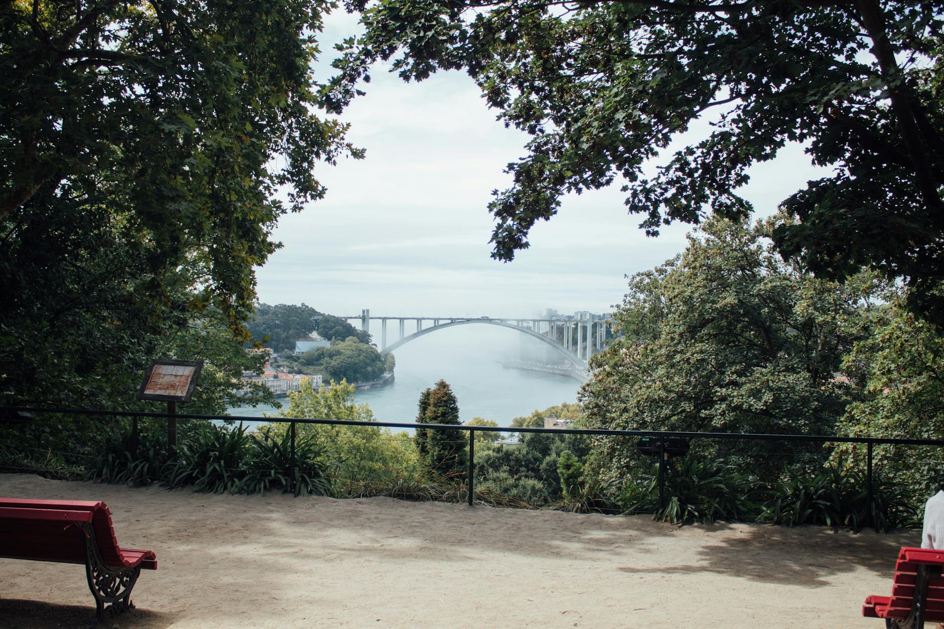 Arrabida Bridge in Porto framed by park trees