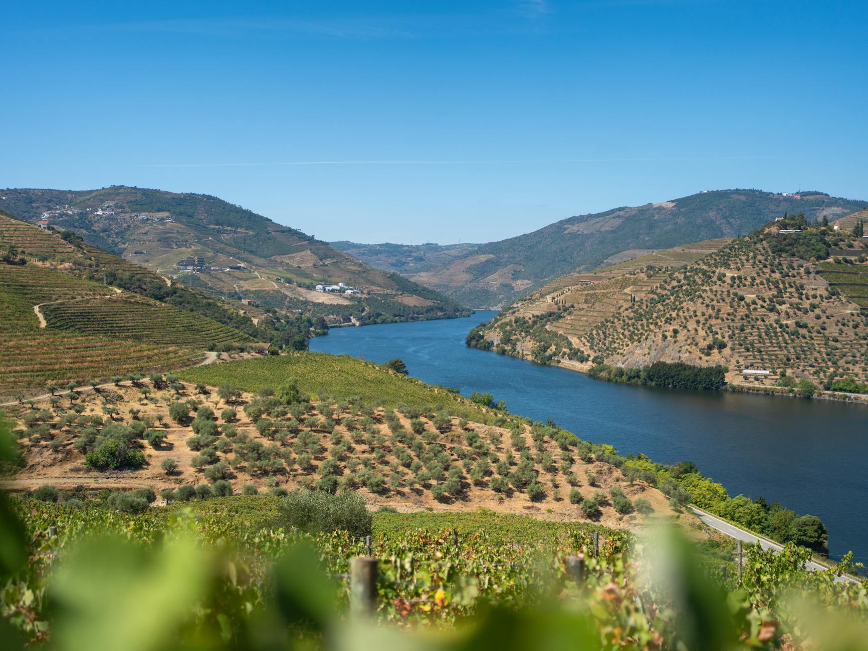 Douro River flanked by vineyards near Porto