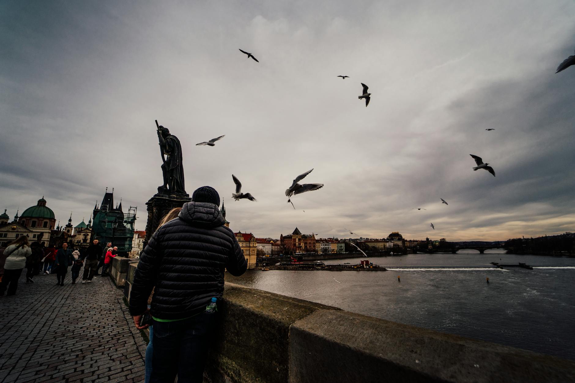 Seagulls flying over Charles Bridge in Prague