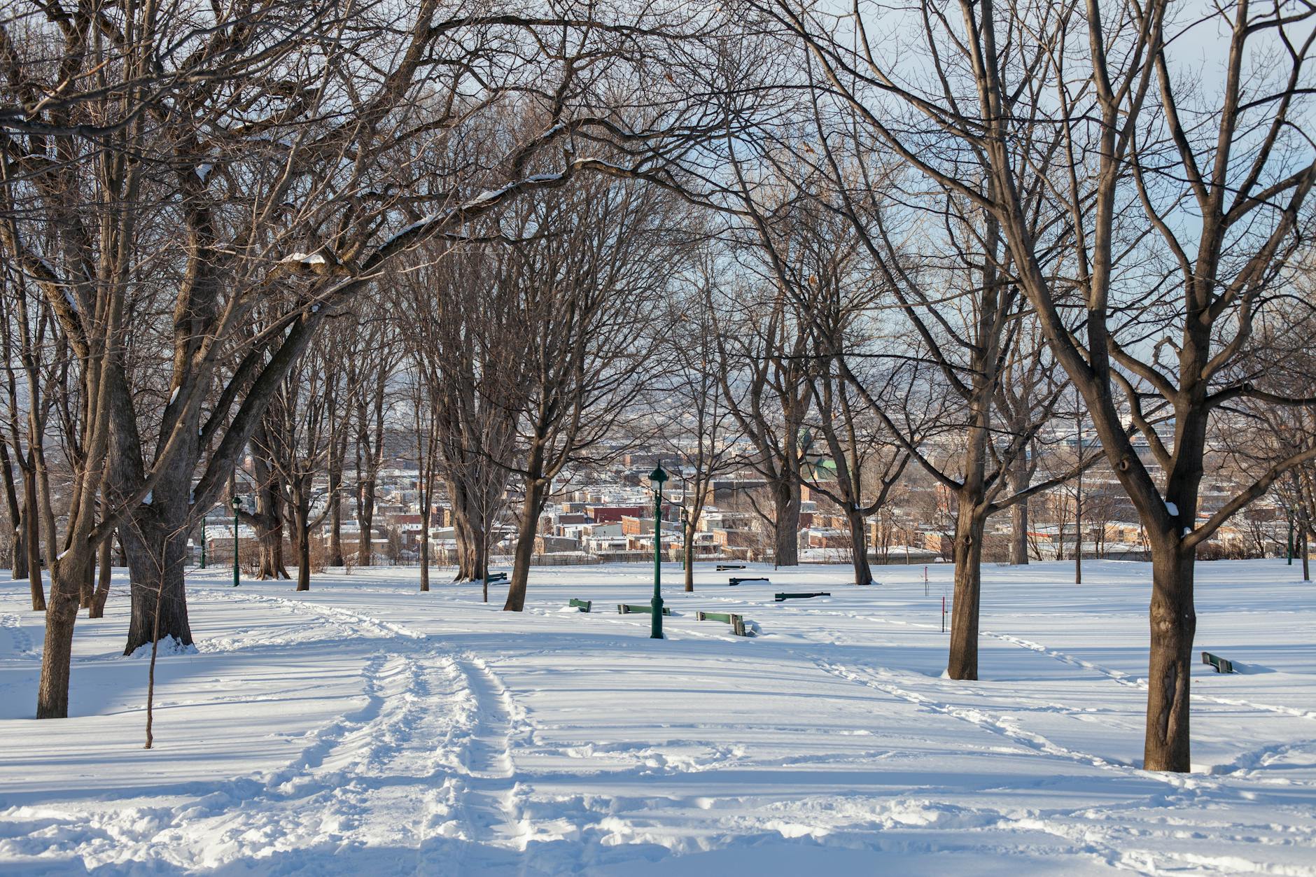 Snow-covered park in Quebec City