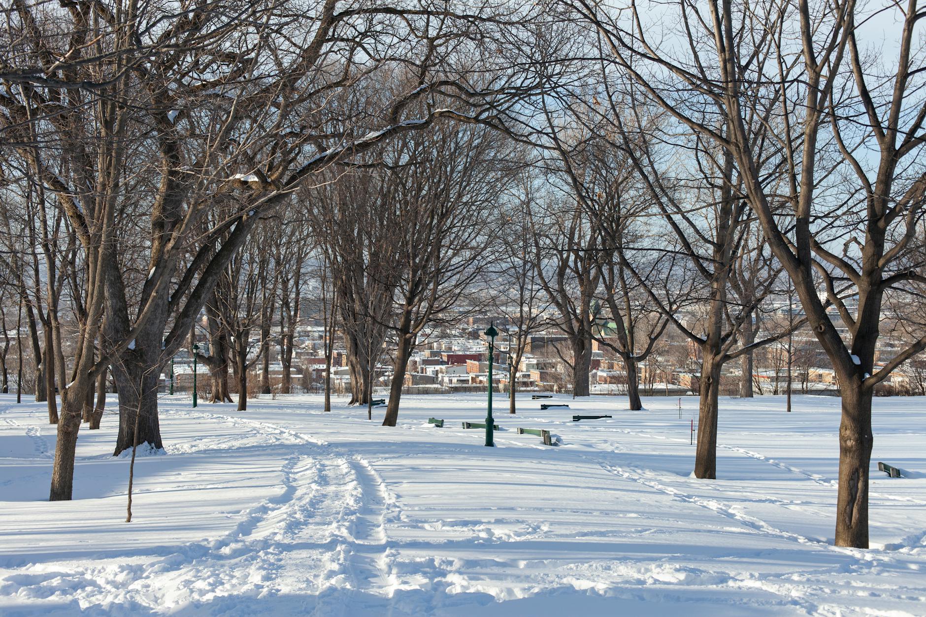 Snow-covered path in a quiet Quebec park