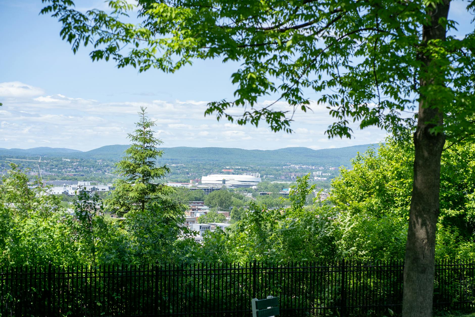 Panoramic Quebec City view framed by trees