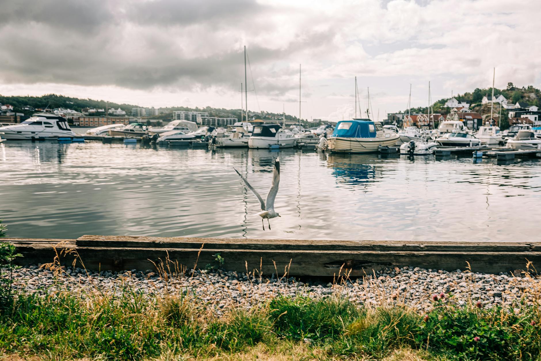 Stavanger harbor view for content visual planning.