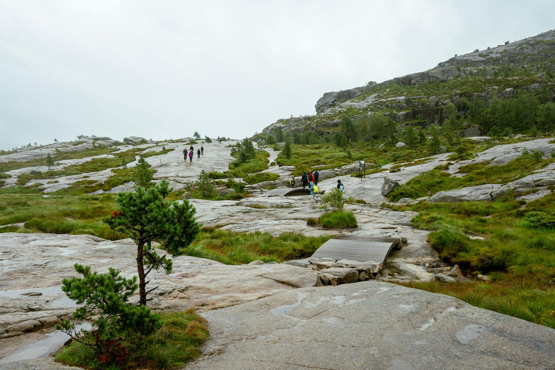 Preikestolen trail in Rogaland for Stavanger family excursion planning.