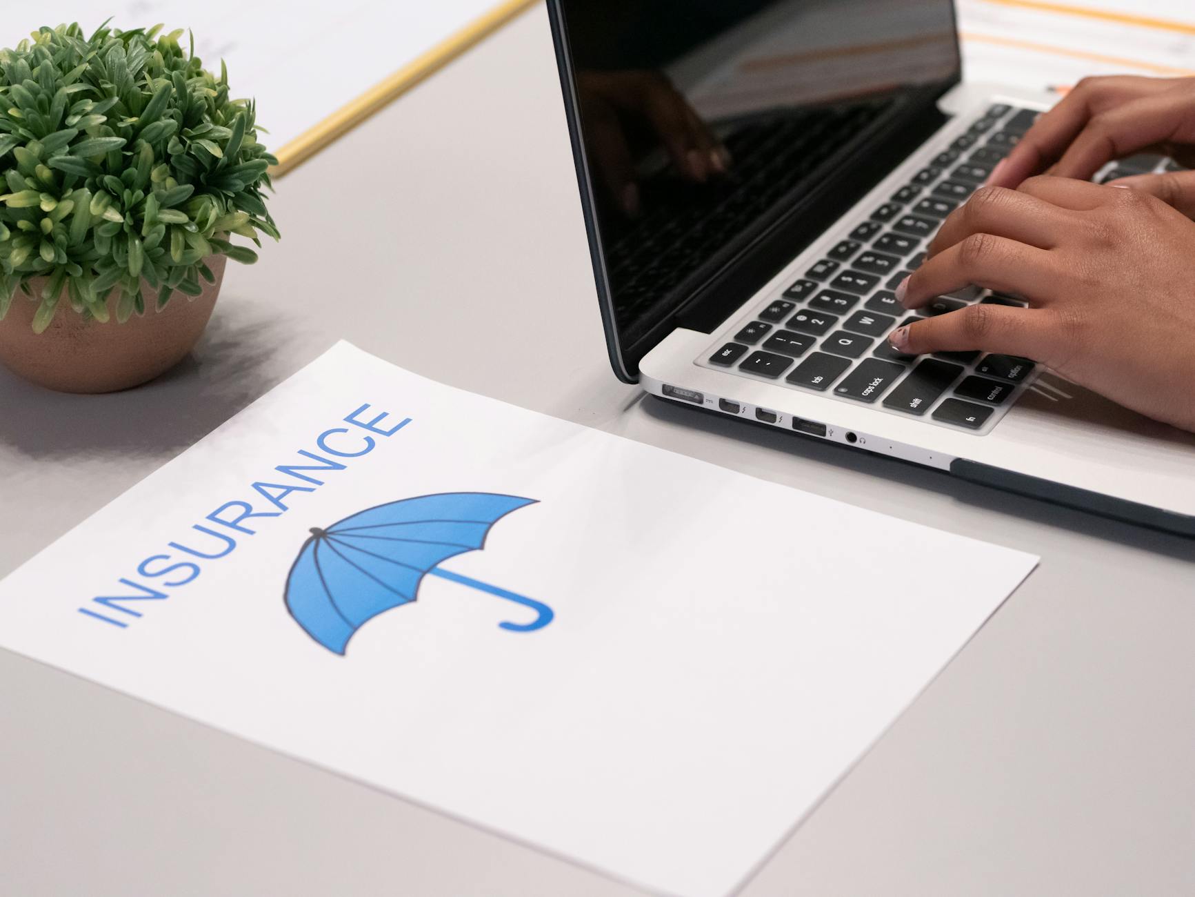 Business document review for Stavanger investor data planning.