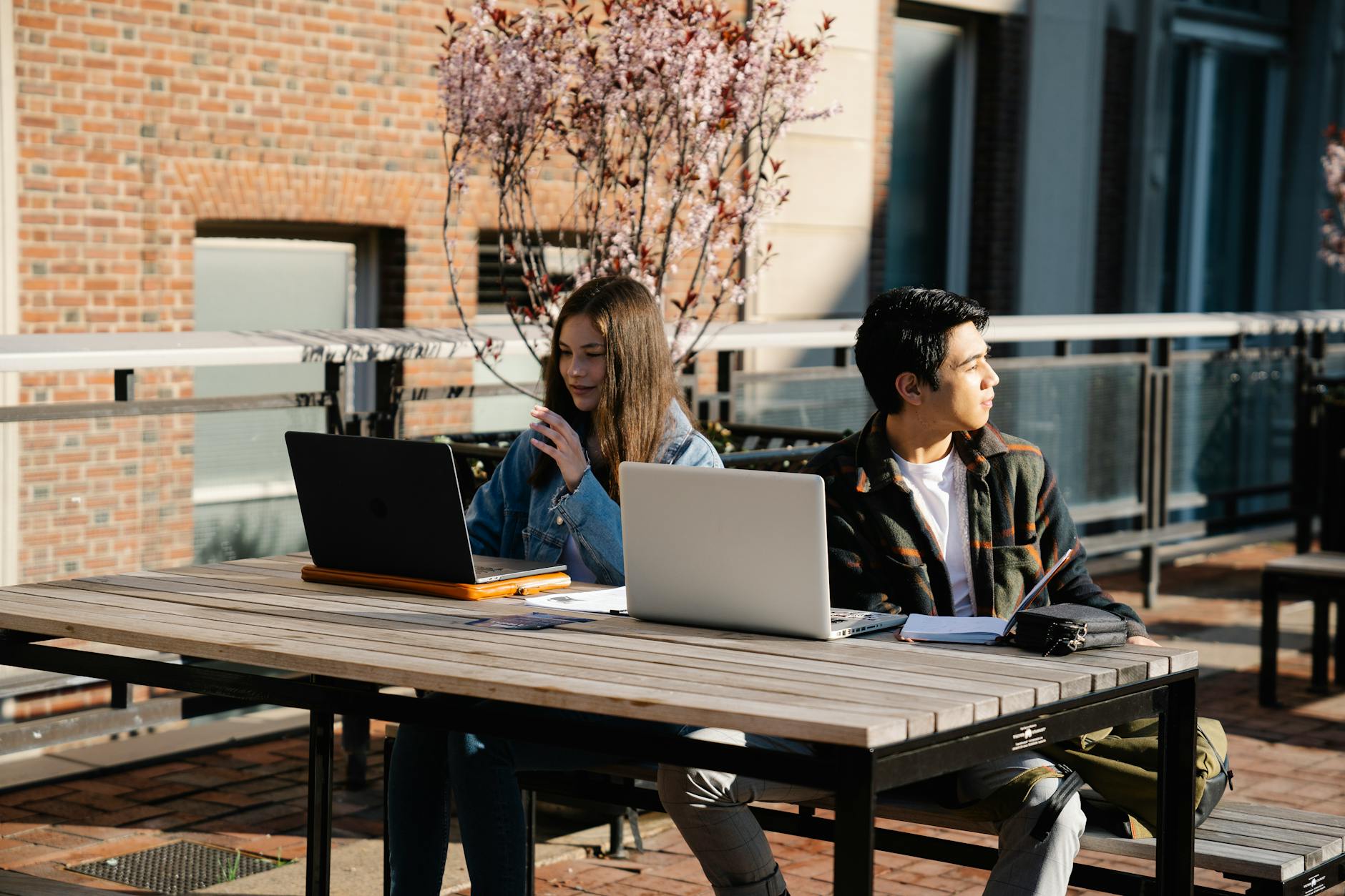 Students studying with laptops for Stavanger short-program planning.