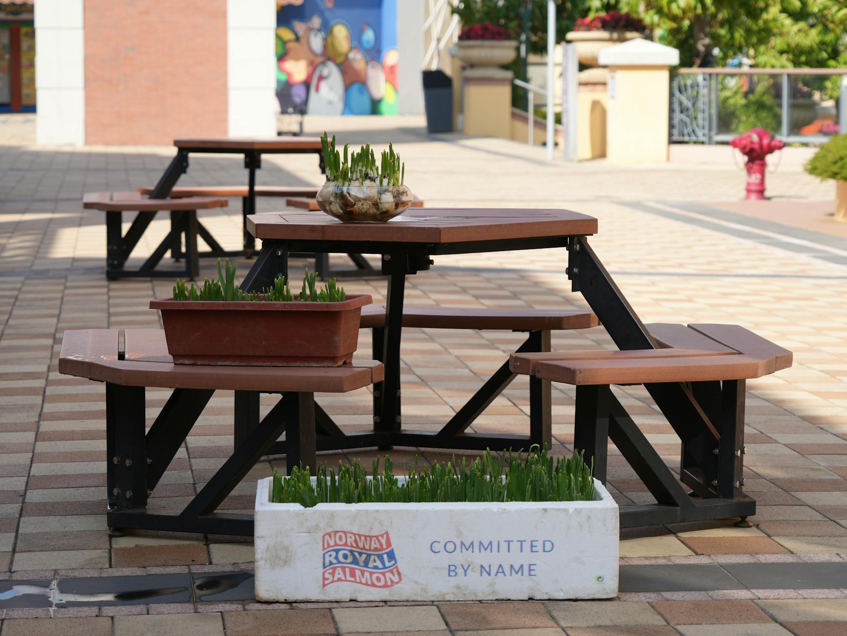 Outdoor cafe seating for Stavanger tourist meal planning.