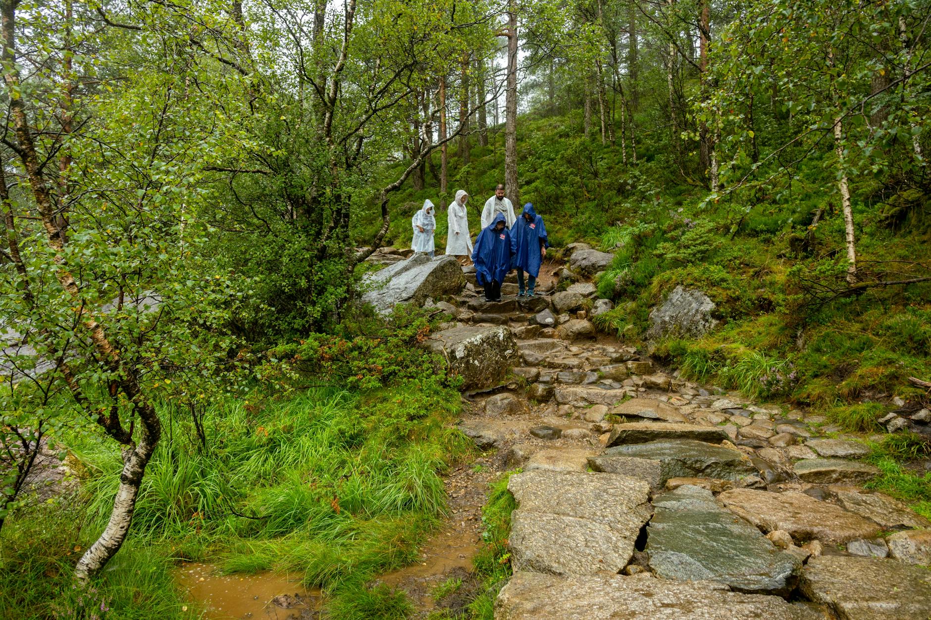Hikers in rain gear for Stavanger tourist weather planning.